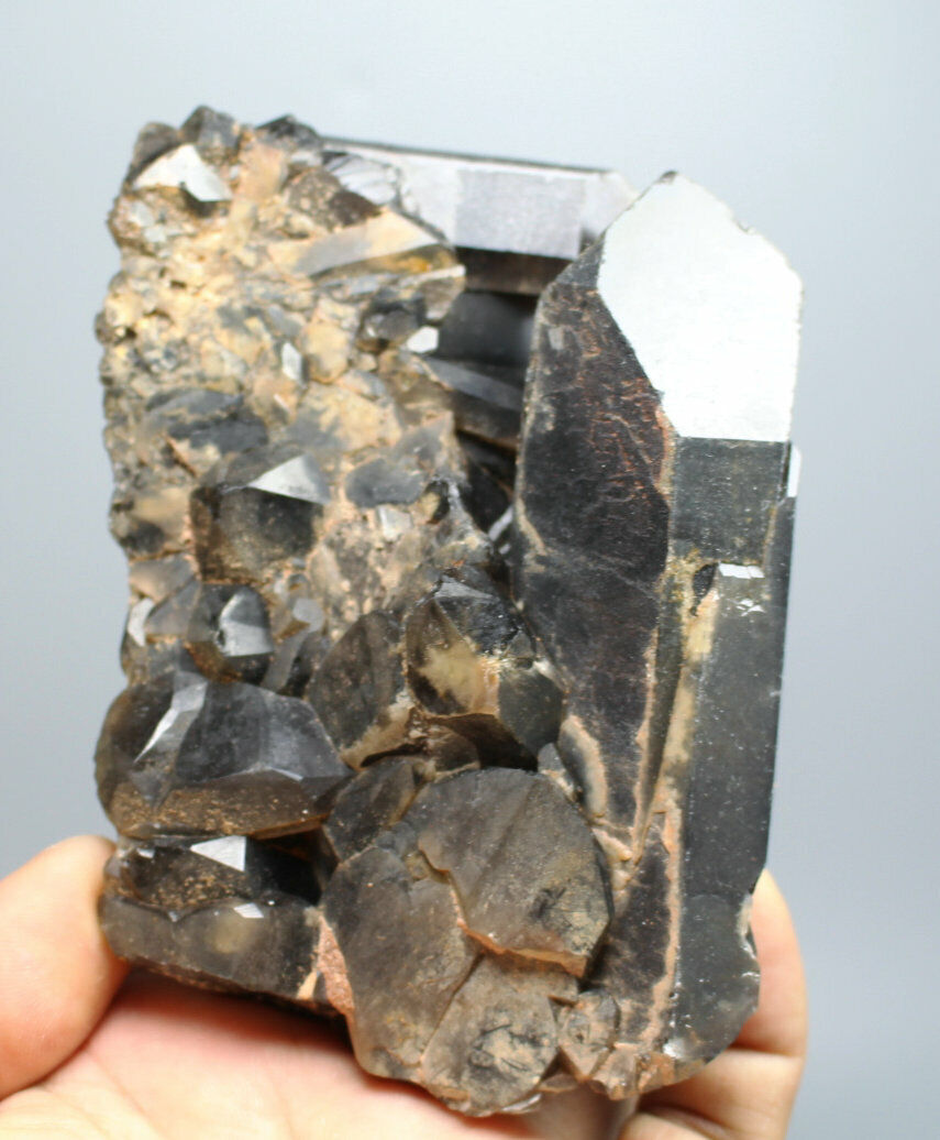 1.25 lb Natural Rare Beautiful Black QUARTZ Crystal Cluster Mineral Specimen
