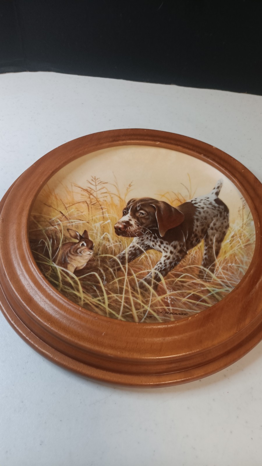 FRAMED Fritz\'s Folly~German Shorthaired  Collector Plate Lynn Kaatz 1988 Knowles