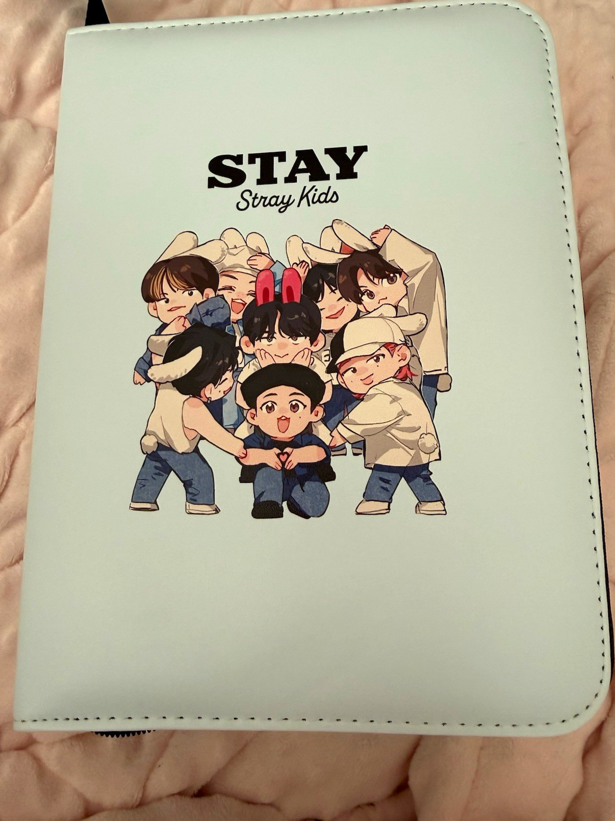 Stray Kids STAY Photo Card Binder including ALL photo cards / stickers/keychains
