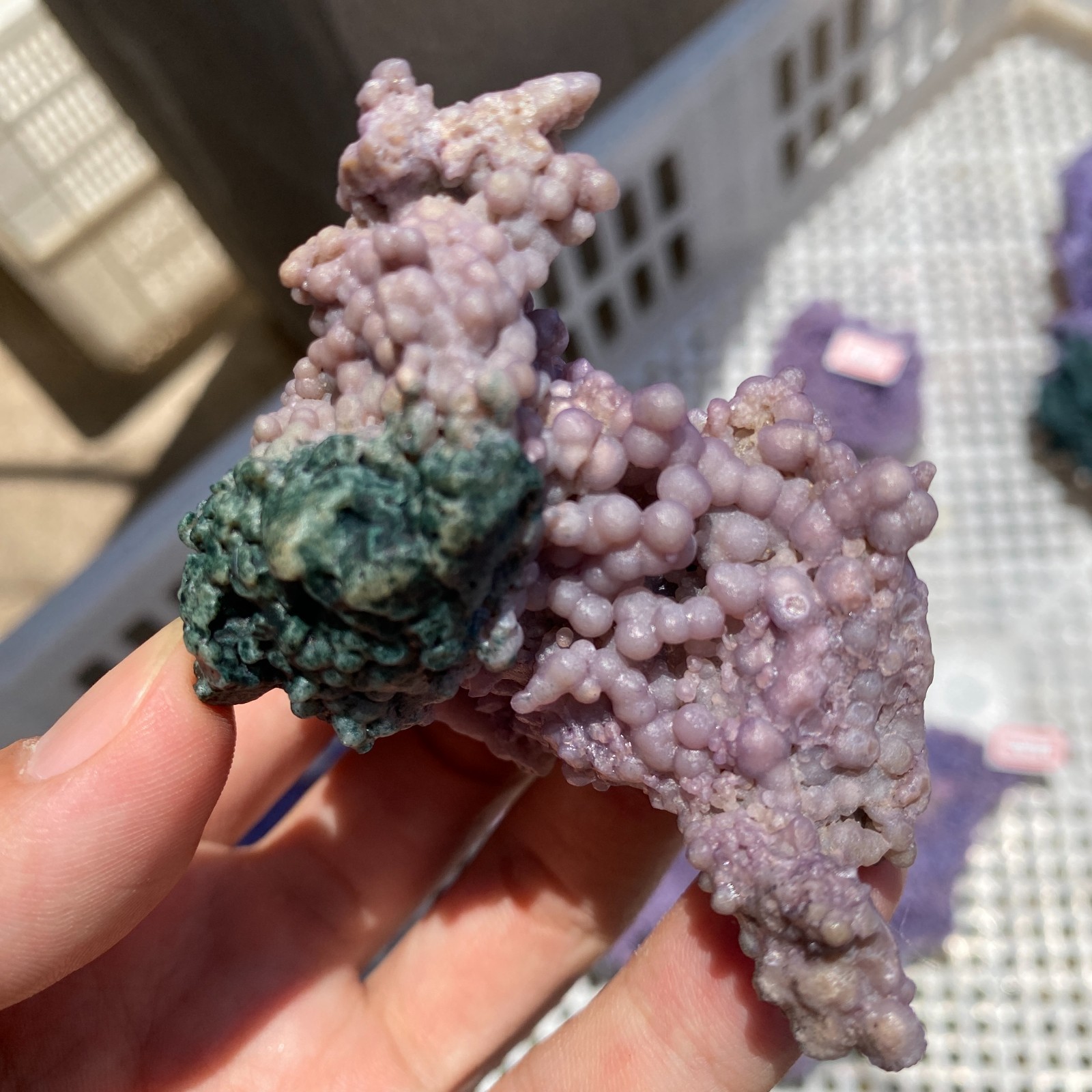 85G Natural purple grape agate quartz crystal granular mineral specimen