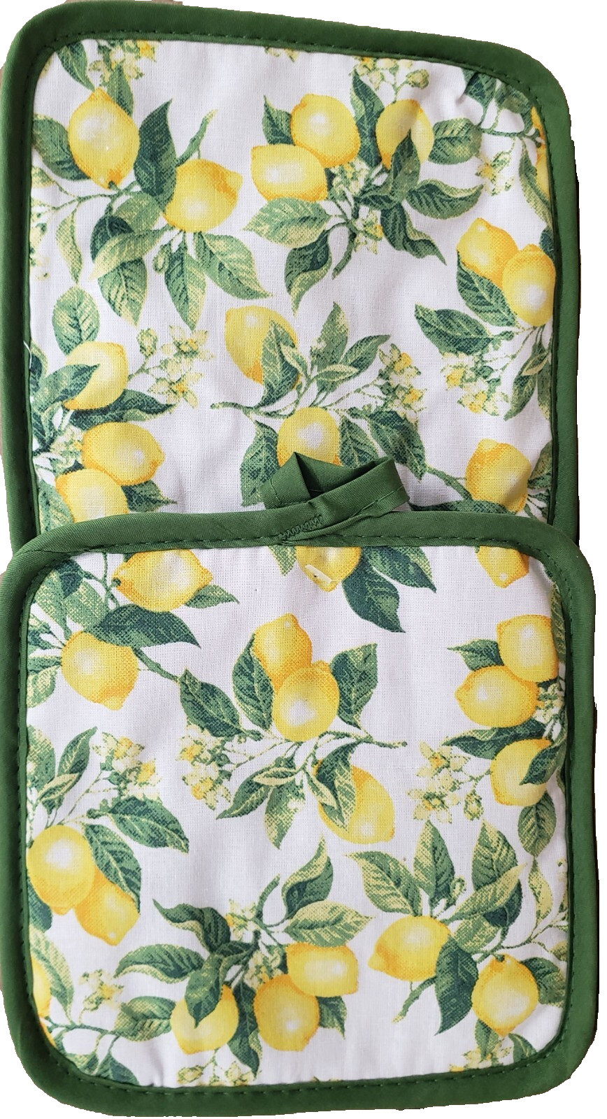 Set of 2 Same Kitchen Potholders (7