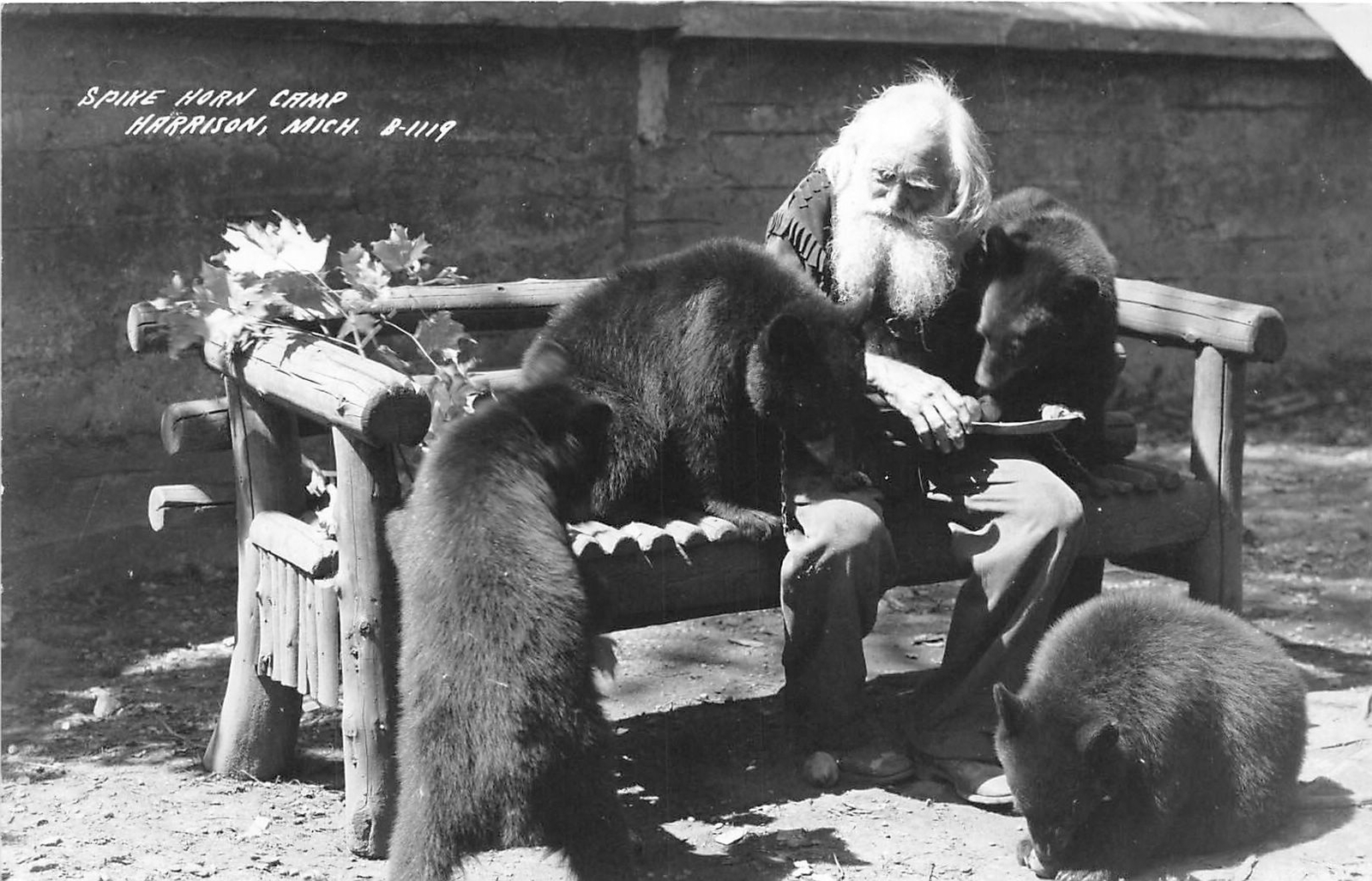 H32/ Harrison Michigan RPPC Postcard c40s Spikehorn Black Bear Den Feed 15