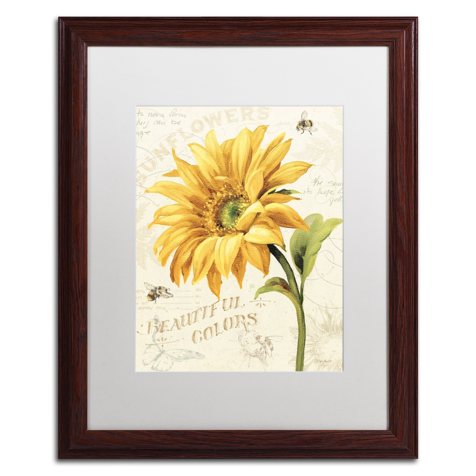 Trademark Fine Art 'Under The Sun II' White Wood Frame Lisa Audit 16x20