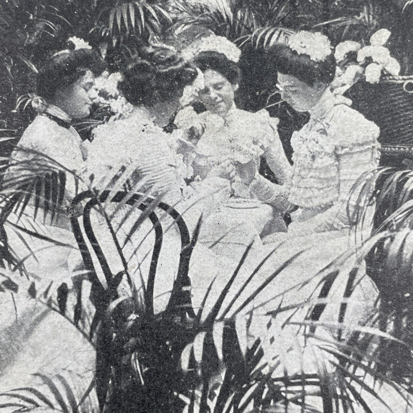 Bridesmaids Ready for Ceremony Stereoview Keystone View Co. 1905 Wedding