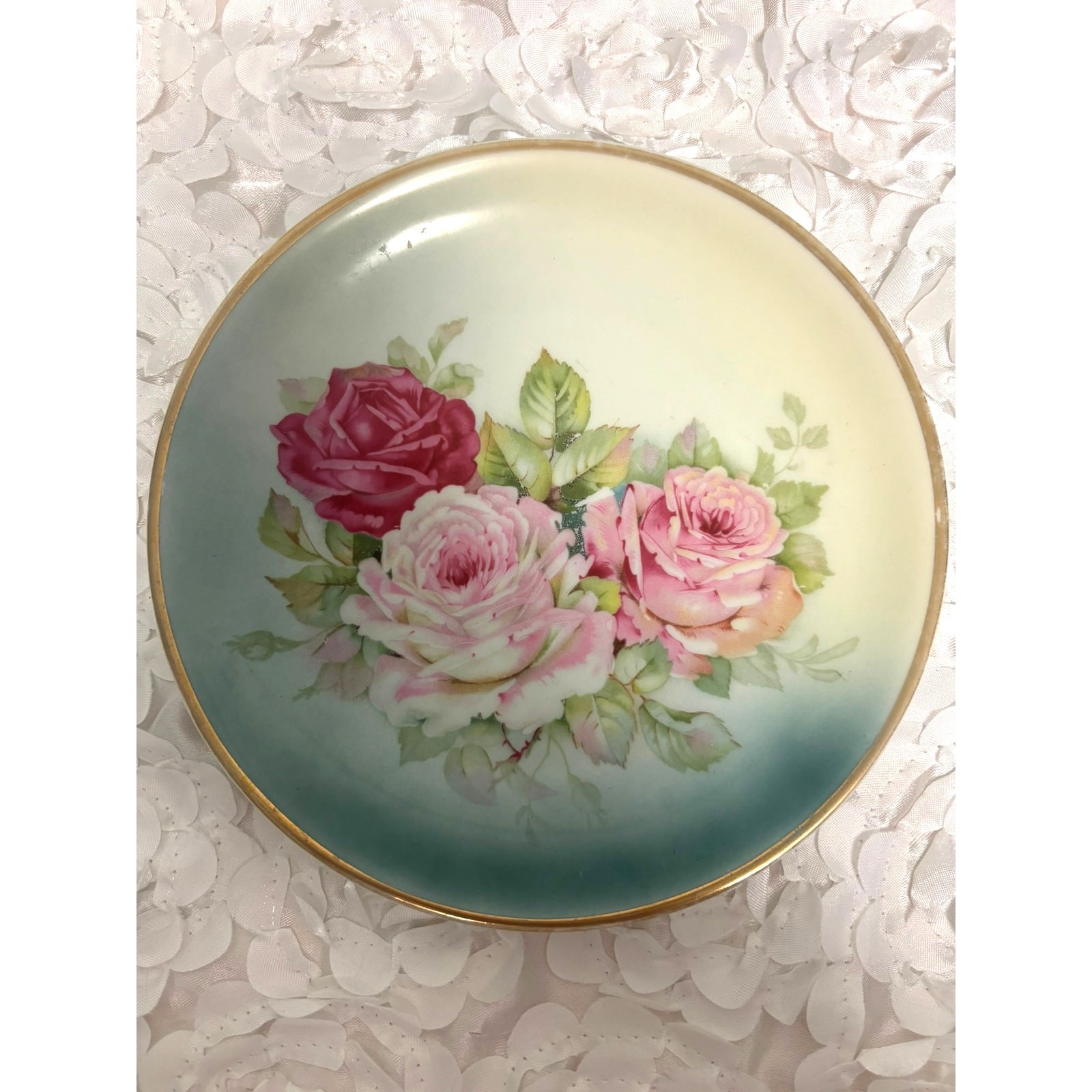 Antique C.T. Altwasser Silesia Hand-Painted 8\