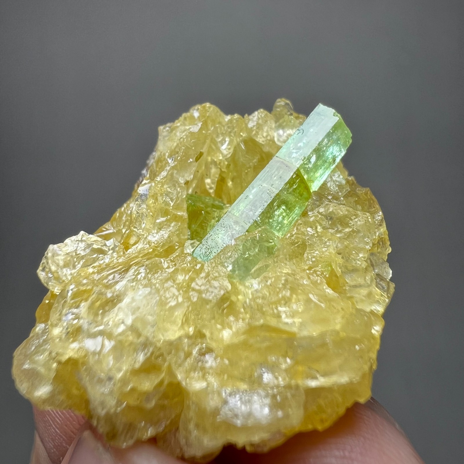 56ct Fully Terminated Lustrous Emerald Crystal on Quartz, Natural Specimen, PAK