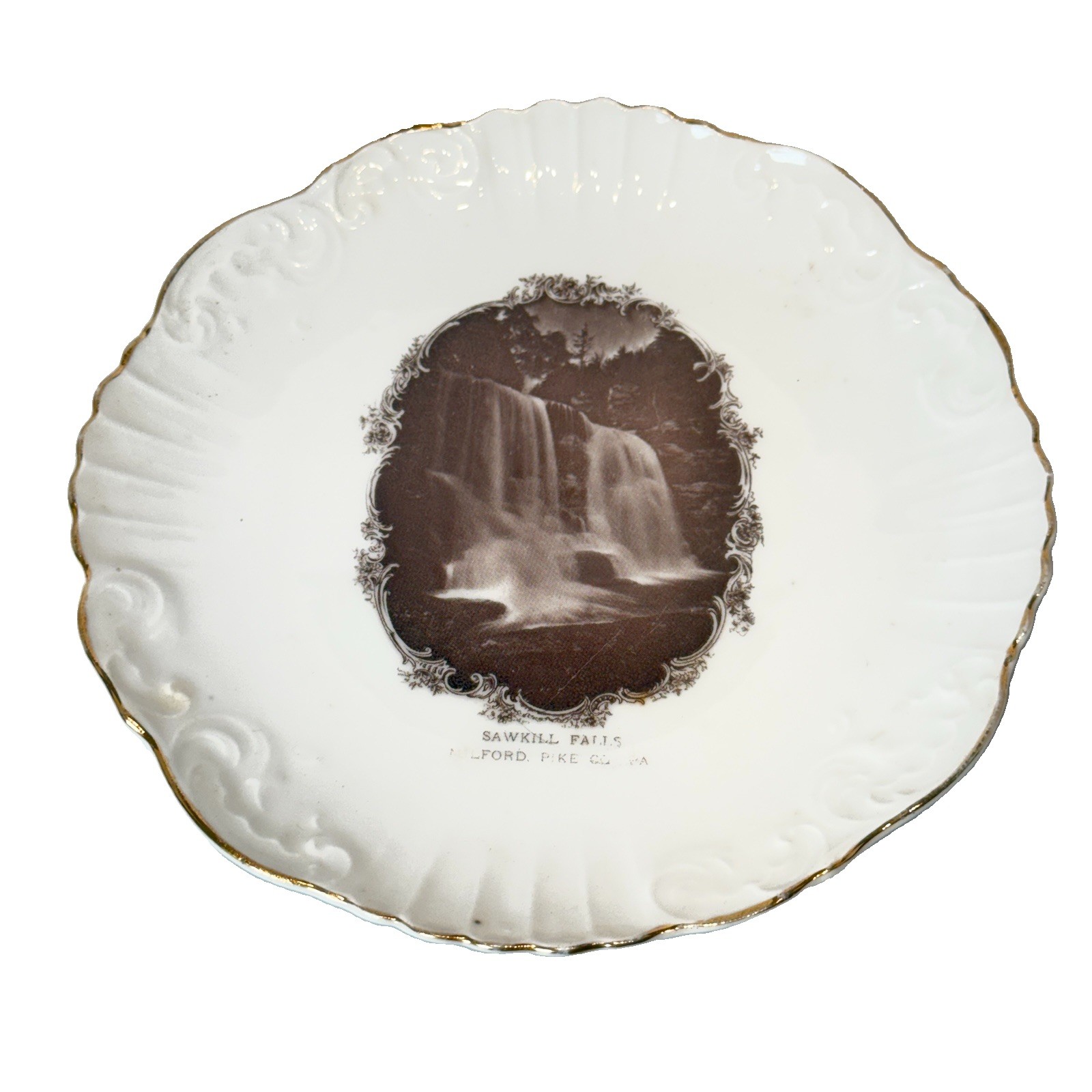 MILFORD PIKE CO Pennsylvania PA Antique SAWKILL FALLS Souvenir PLATE