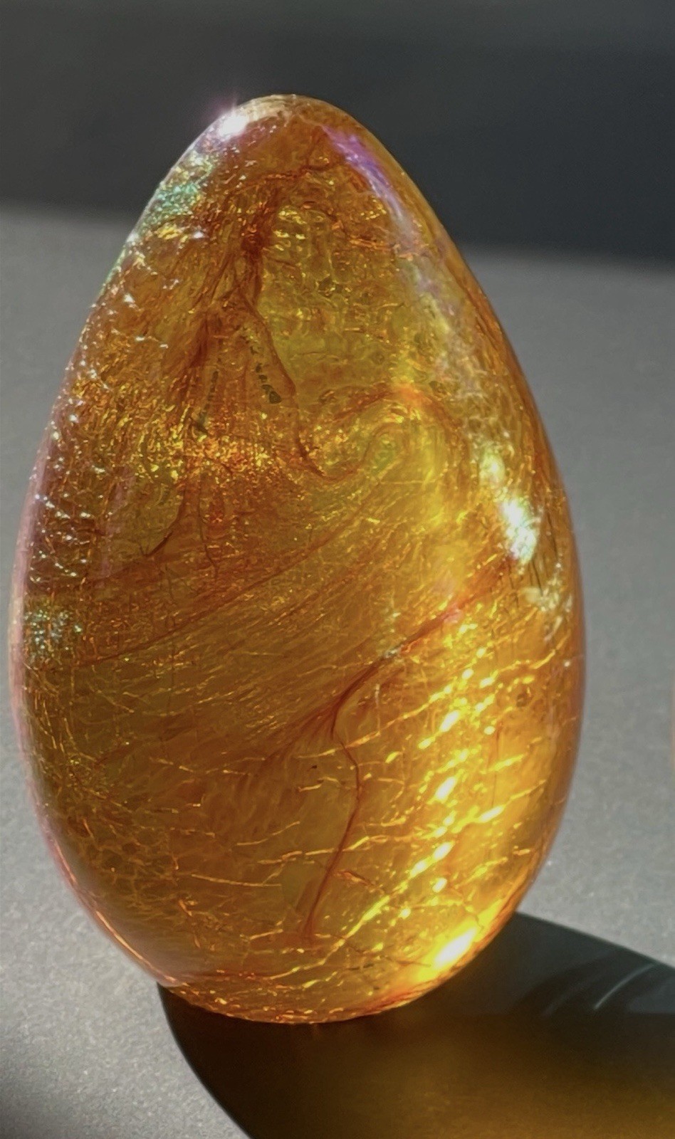 Glass Eye Studio 3.25” Dragon Egg Art Glass  Paperweight Draco Gold A101