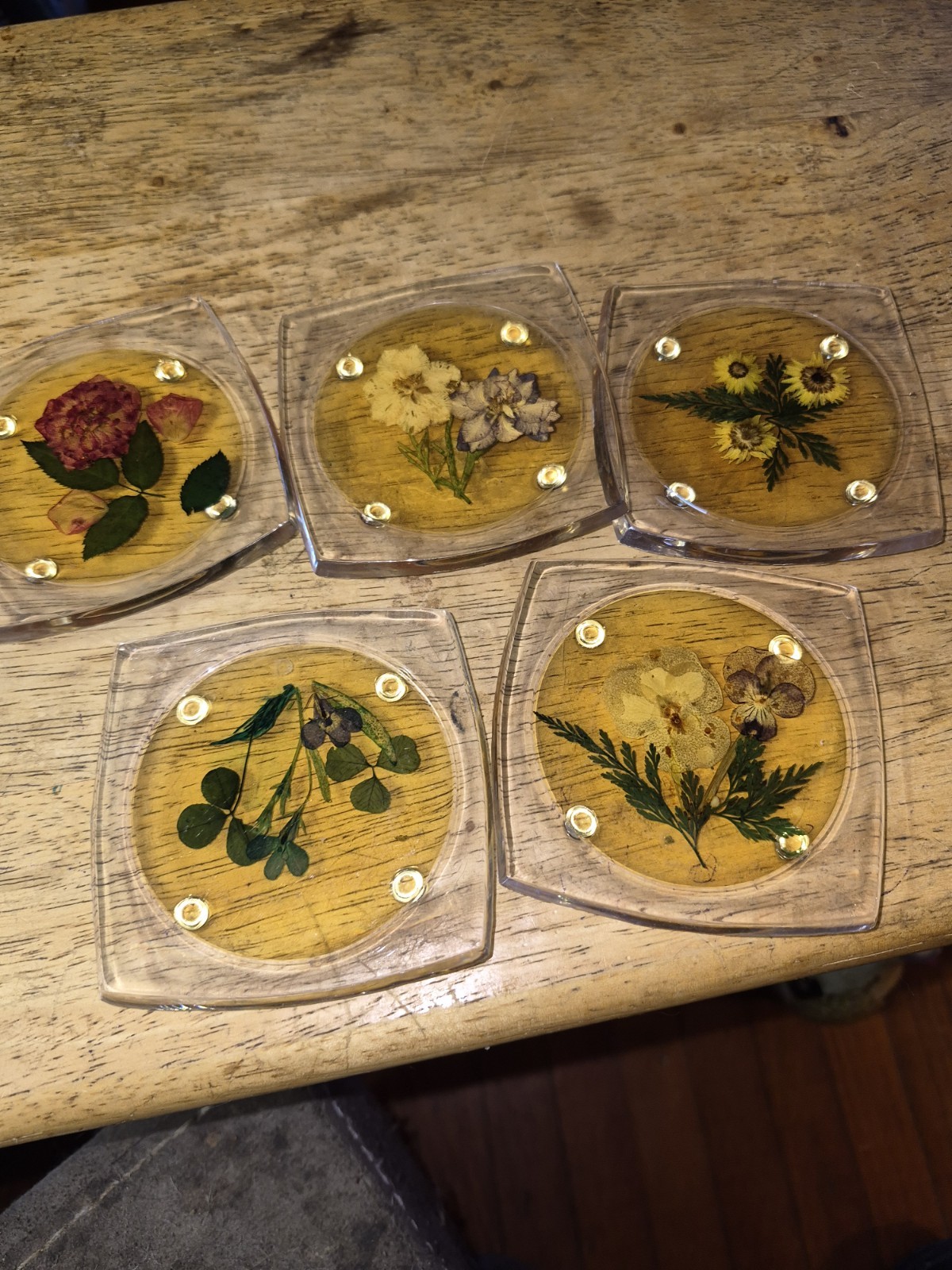 Vintage Mid-Century Lucite Coasters with Pressed Dried Flowers - Set of 5 