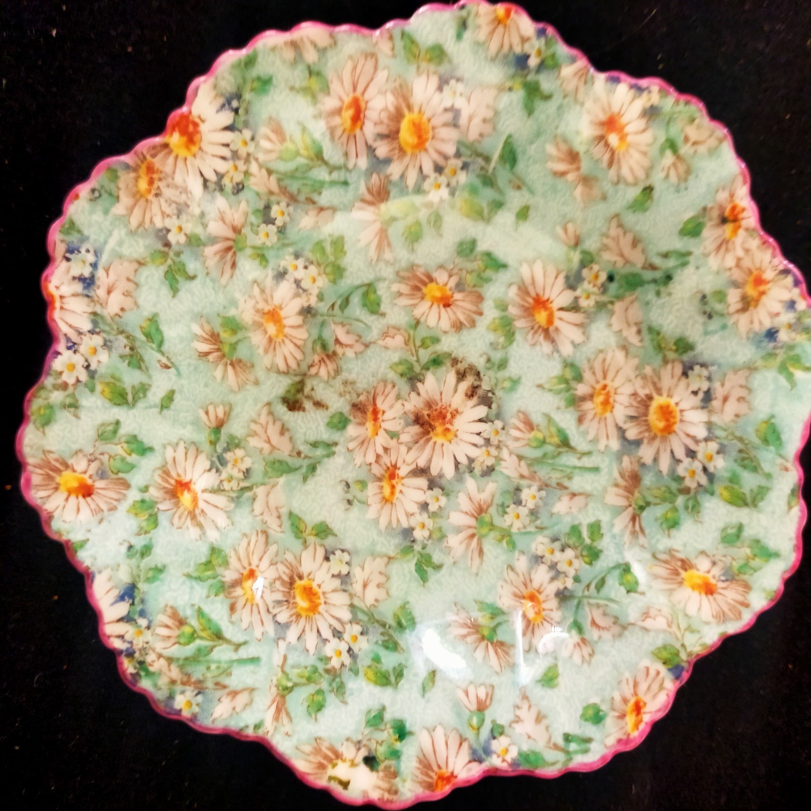 RARE Shelley Marguerite Green Daisy Chintz Dish. Fine Bone China. Sought After