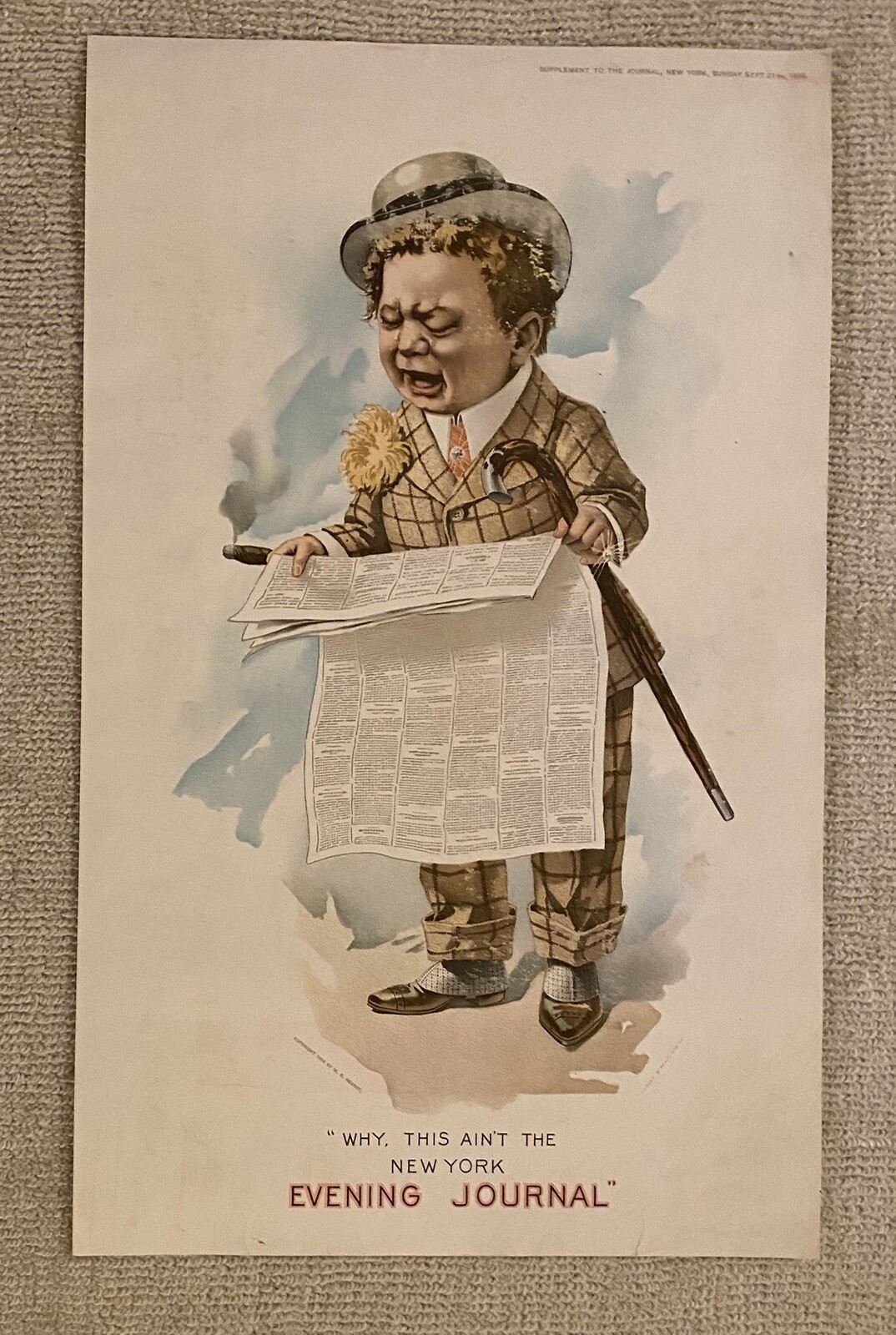 1896 New York Evening Journal Newspaper Advertising Poster RARE