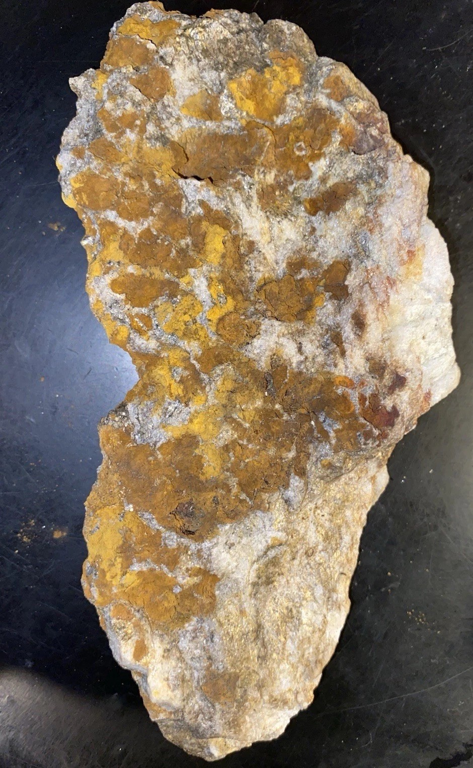 Gold Ore Mineral Specimen in Quartz