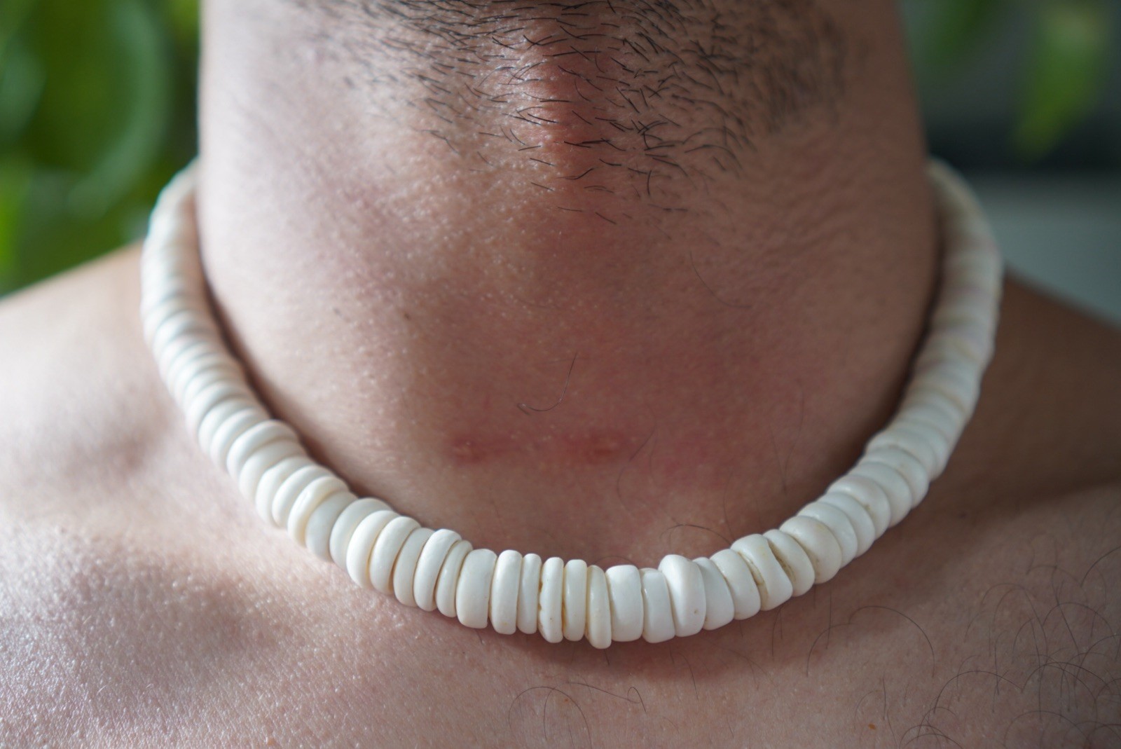 Vintage 70's Hawaiian Puka Shell Necklace 18 Vintage 70's Hawaiian Puka Shell Necklace 18