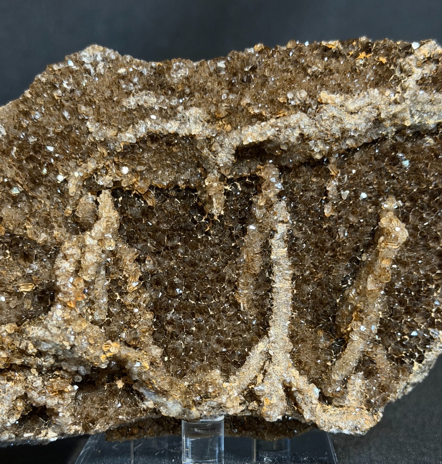 245g RARE Brilliant Petrified Wood - Large Crystals and Lace - UV Reactive