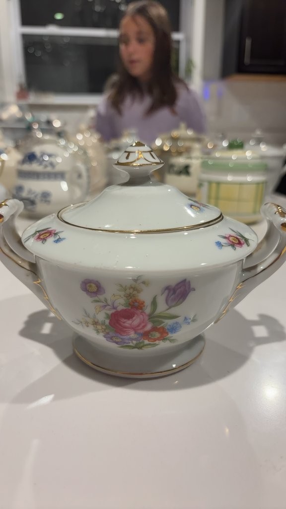 Vintage Japanese Floral Porcelain Sugar Bowl with Lid
