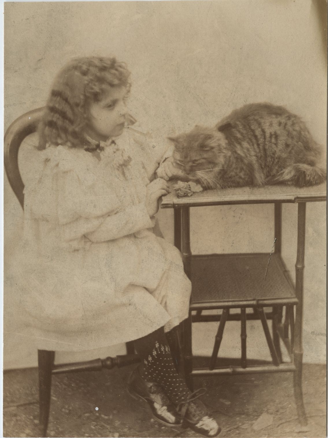 Victorian Girl Long Haired Tabby Cat Wicker Table Portrait 1890s VTG Photo