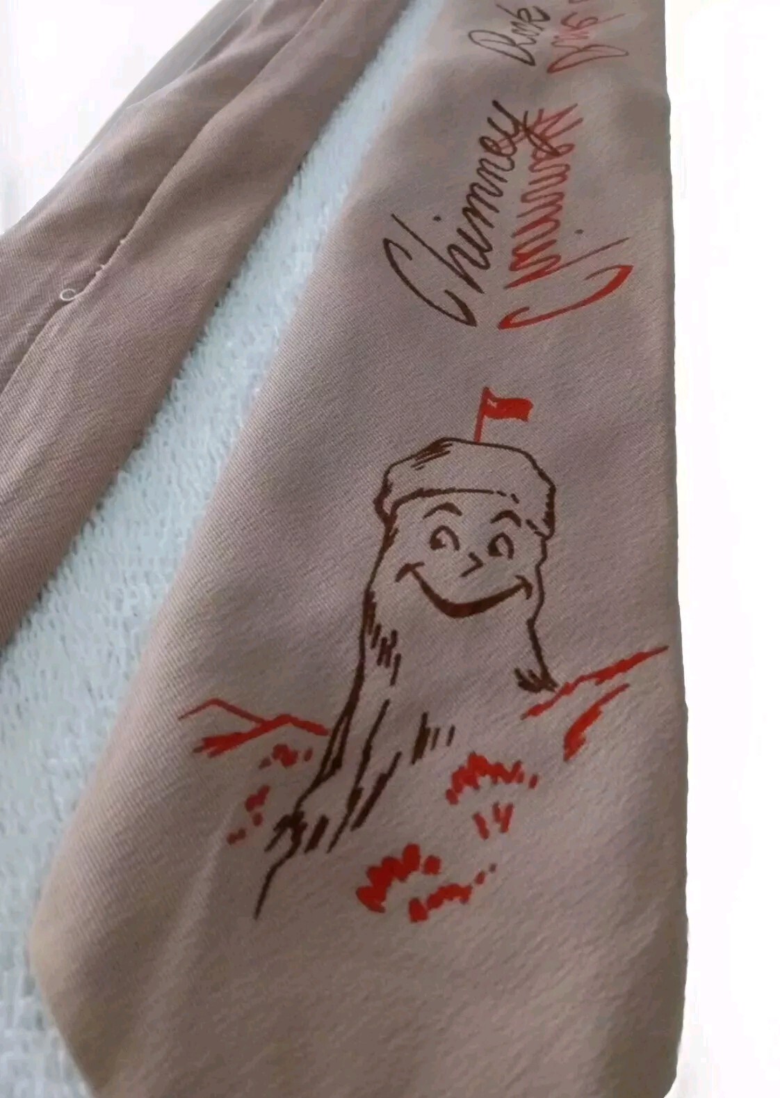 Vintage Chimney Rock Park North Carolina Souvenir ~ Adult NECKTIE ~ Self Tie EUC