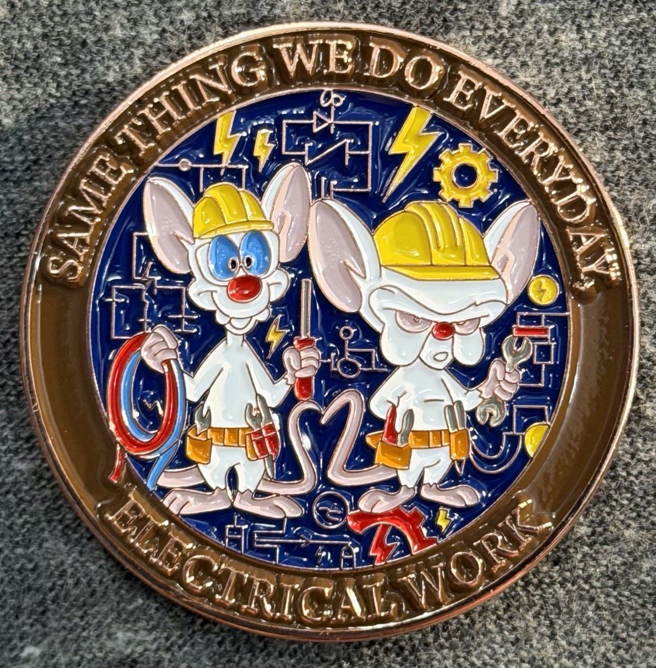 IBEW Brotherhood Challenge Coin Pinky & The Brain Data Center Boom