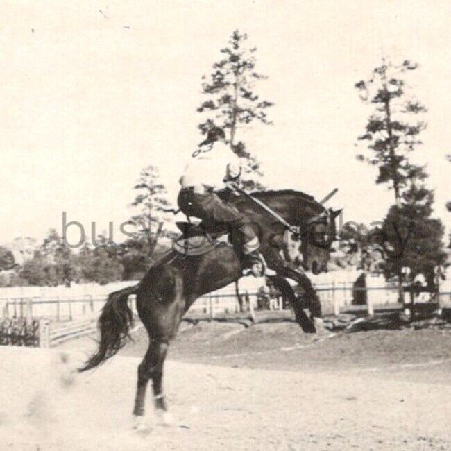 Vintage 1923 RPPC Prescott Frontier Days Stay Cowboy Show Postcard Arizona #1