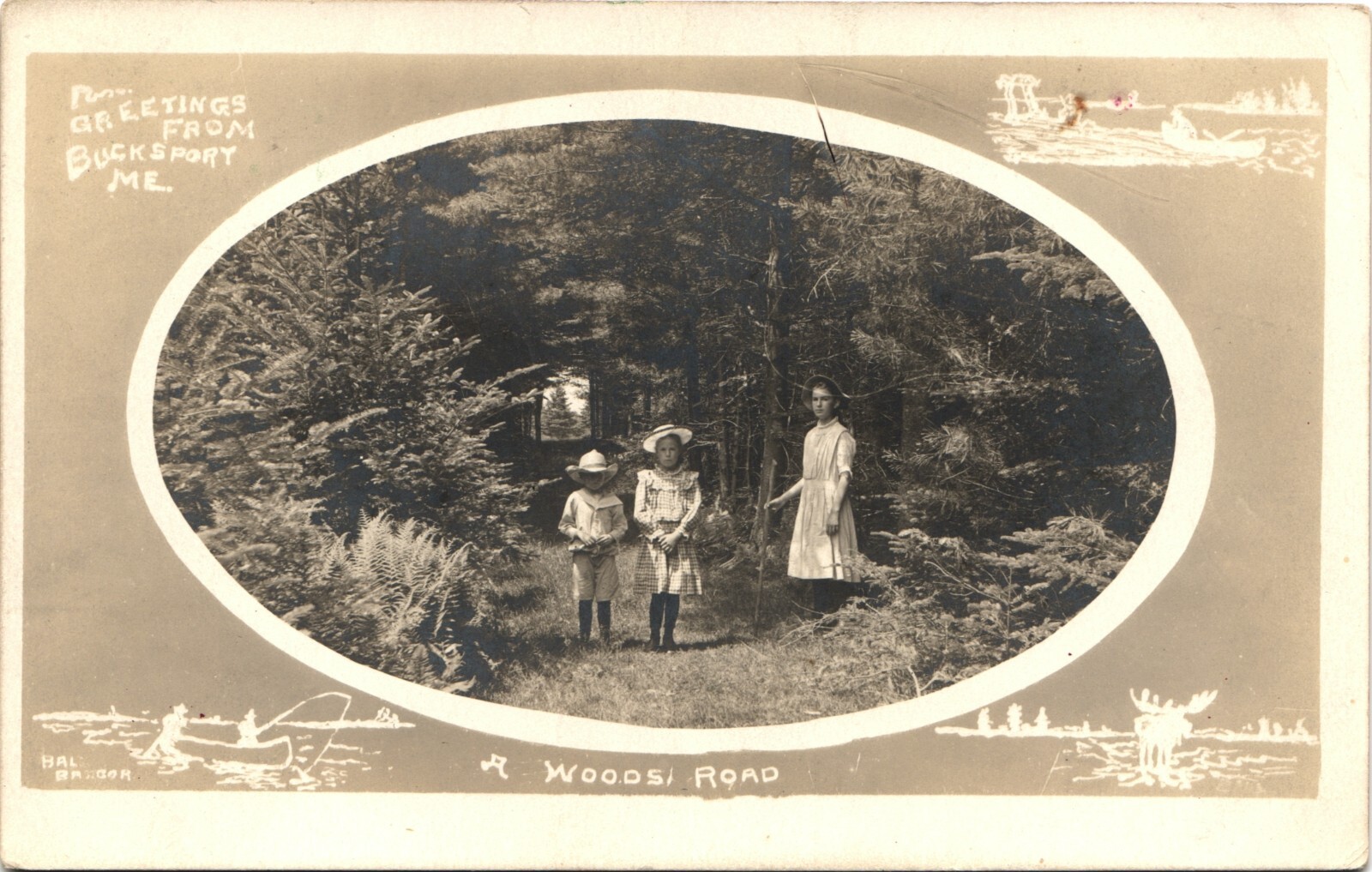 BUCKSPORT MAINE antique real photo postcard rppc LOVELY WOODED SCENE c1910 ~rare