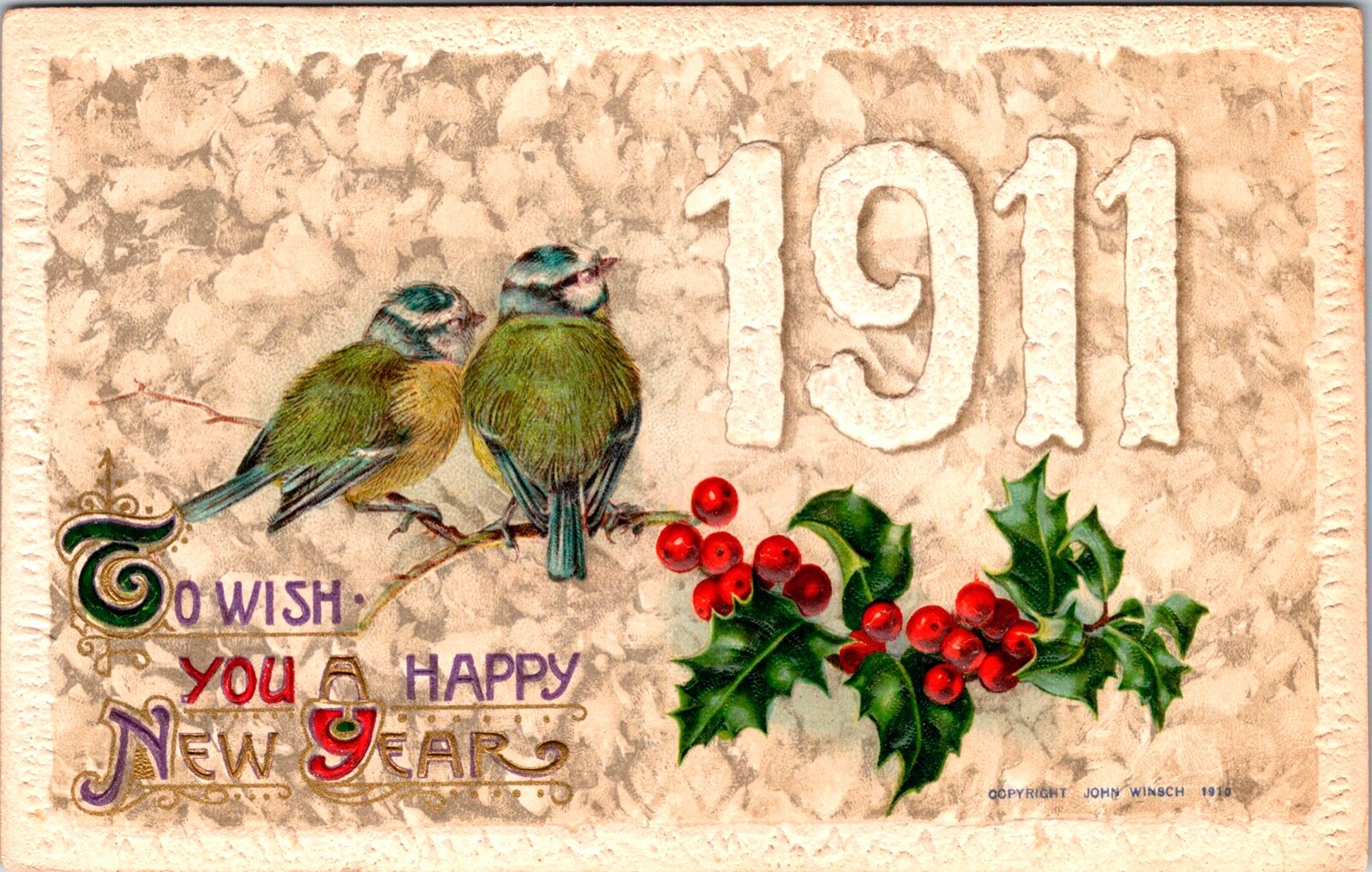 1911 Vintage John Winsch Beautiful Birds New Years Antique Postcard (UNPOSTED)