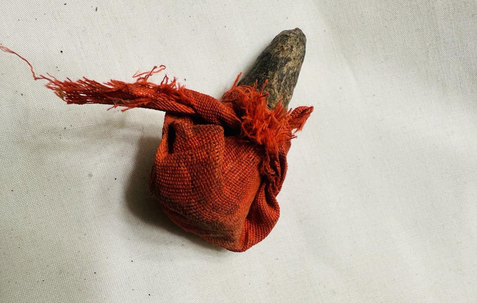 Authentic Benin Control Horn Vodun Ritual Handcrafted by African Priest