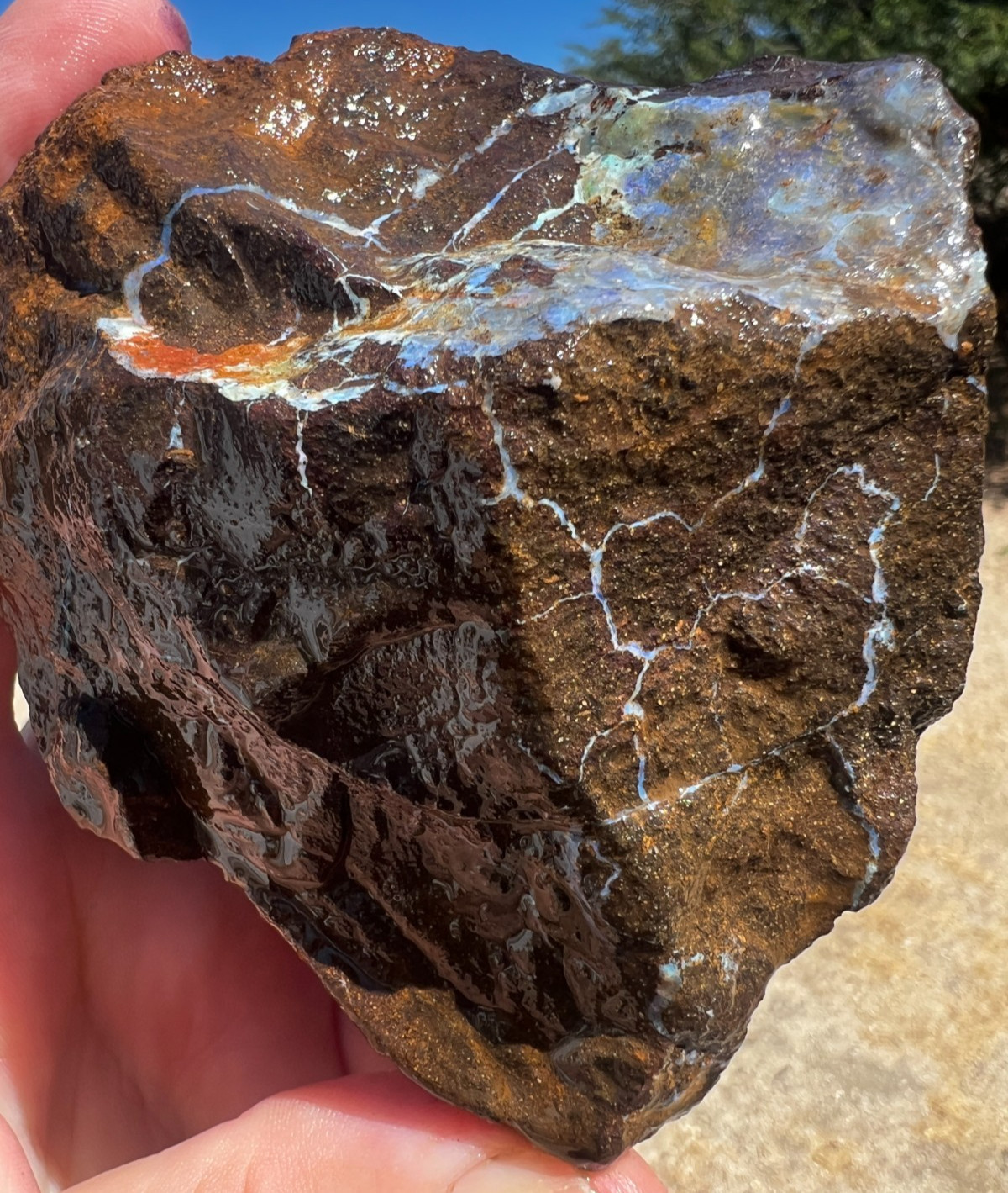 Large Rough Untreated Boulder Opal from Australia 