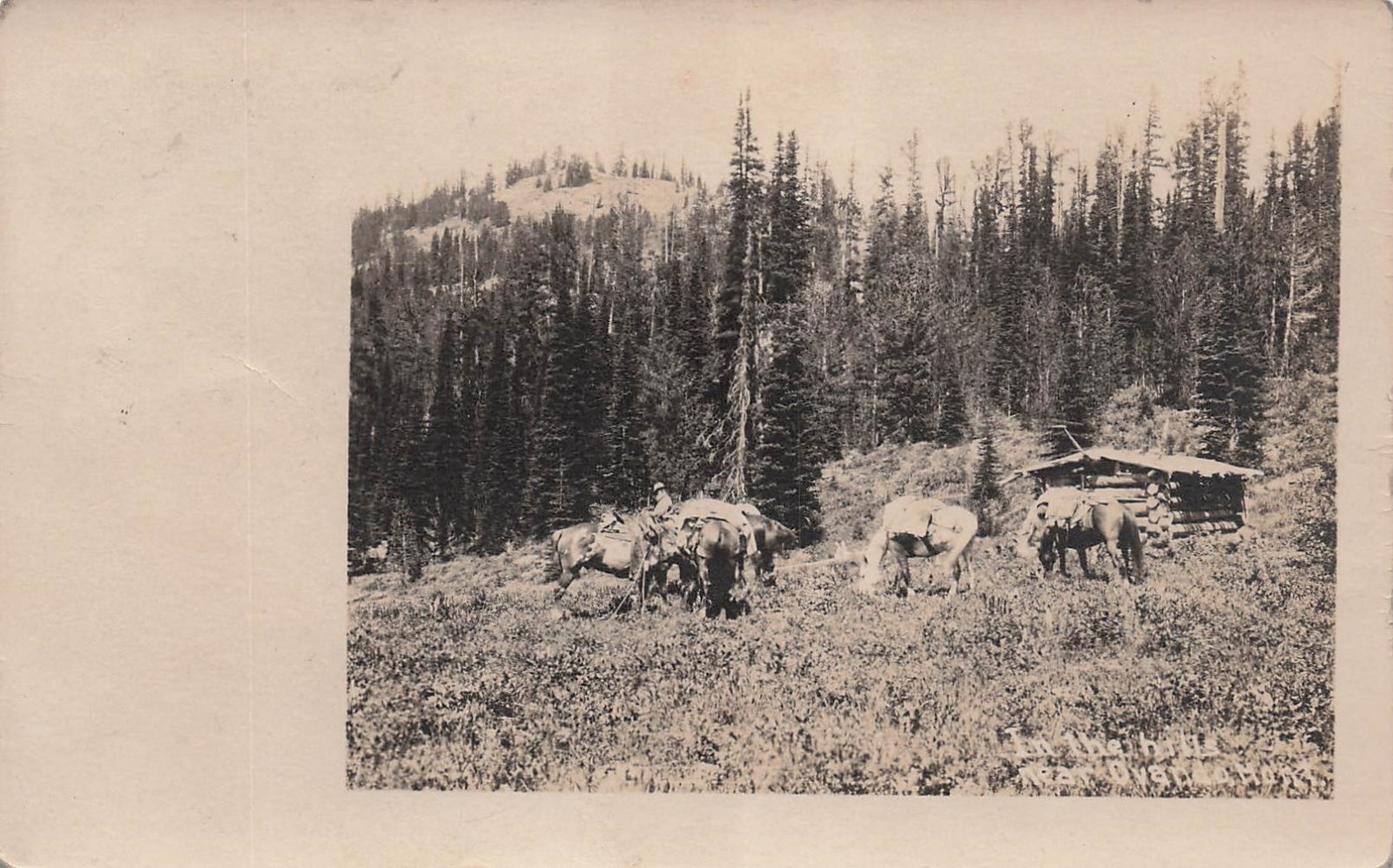 RPPC Ovando Montana Blackfoot River Valley Horse Hike Photo Vtg Postcard 10A