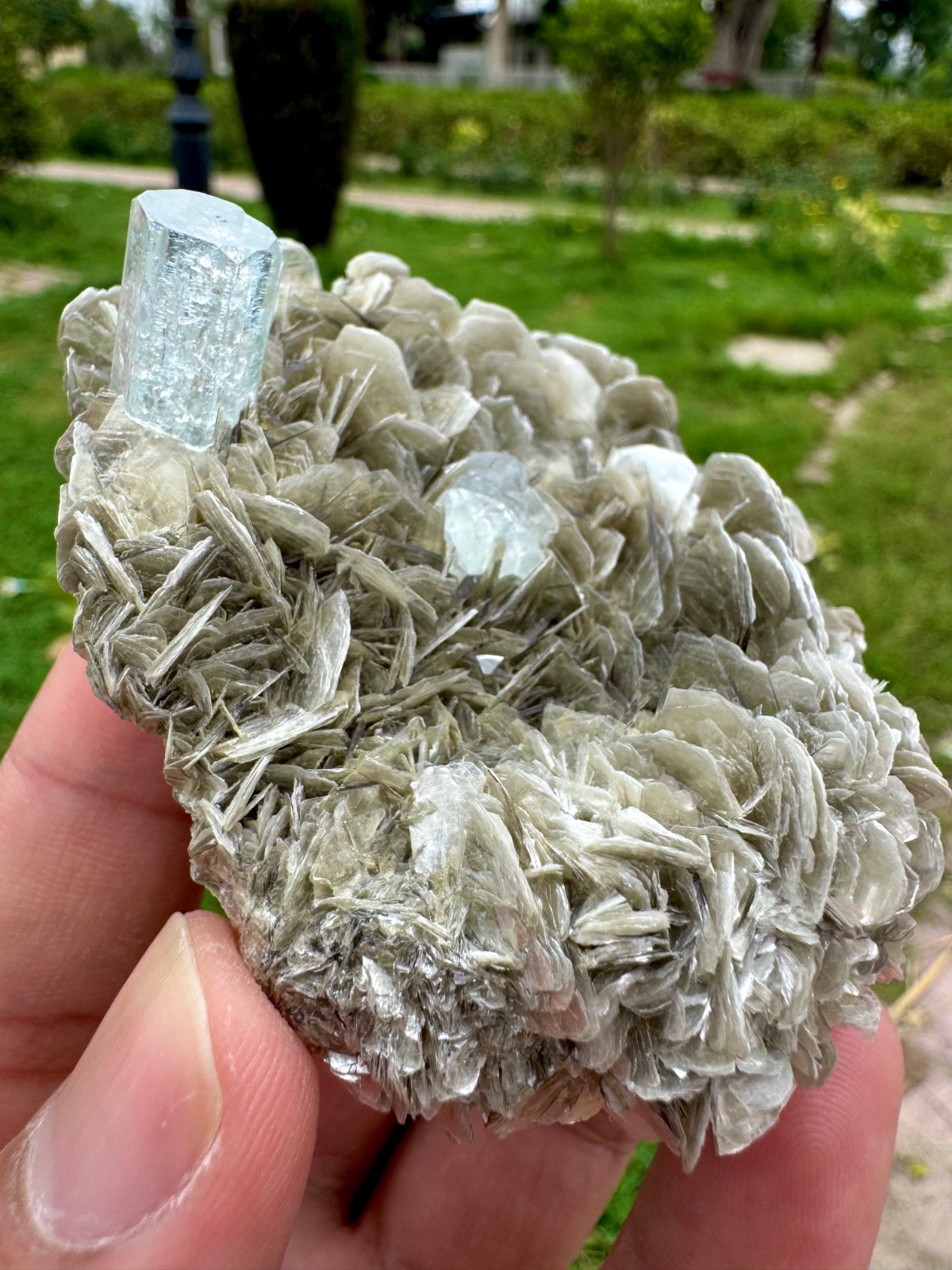 Beautiful aquamarine with Fluorite on Muscovite Combine Specimen, 615 CTS