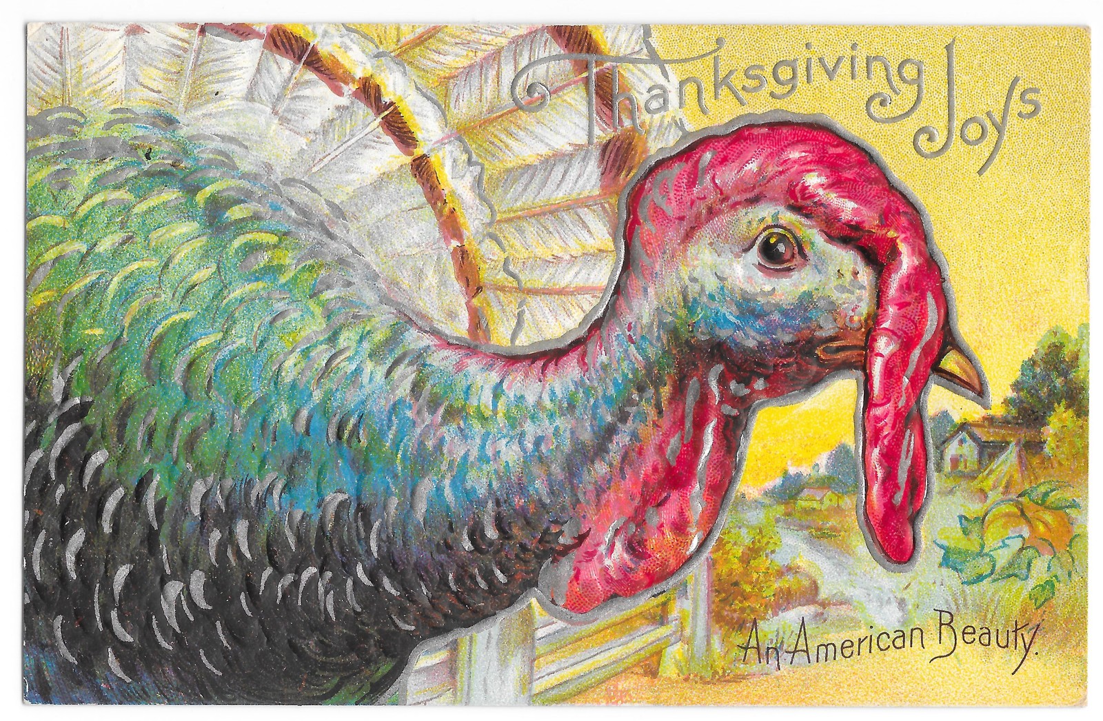 Antique Embossed Thanksgiving Postcard Turkey 