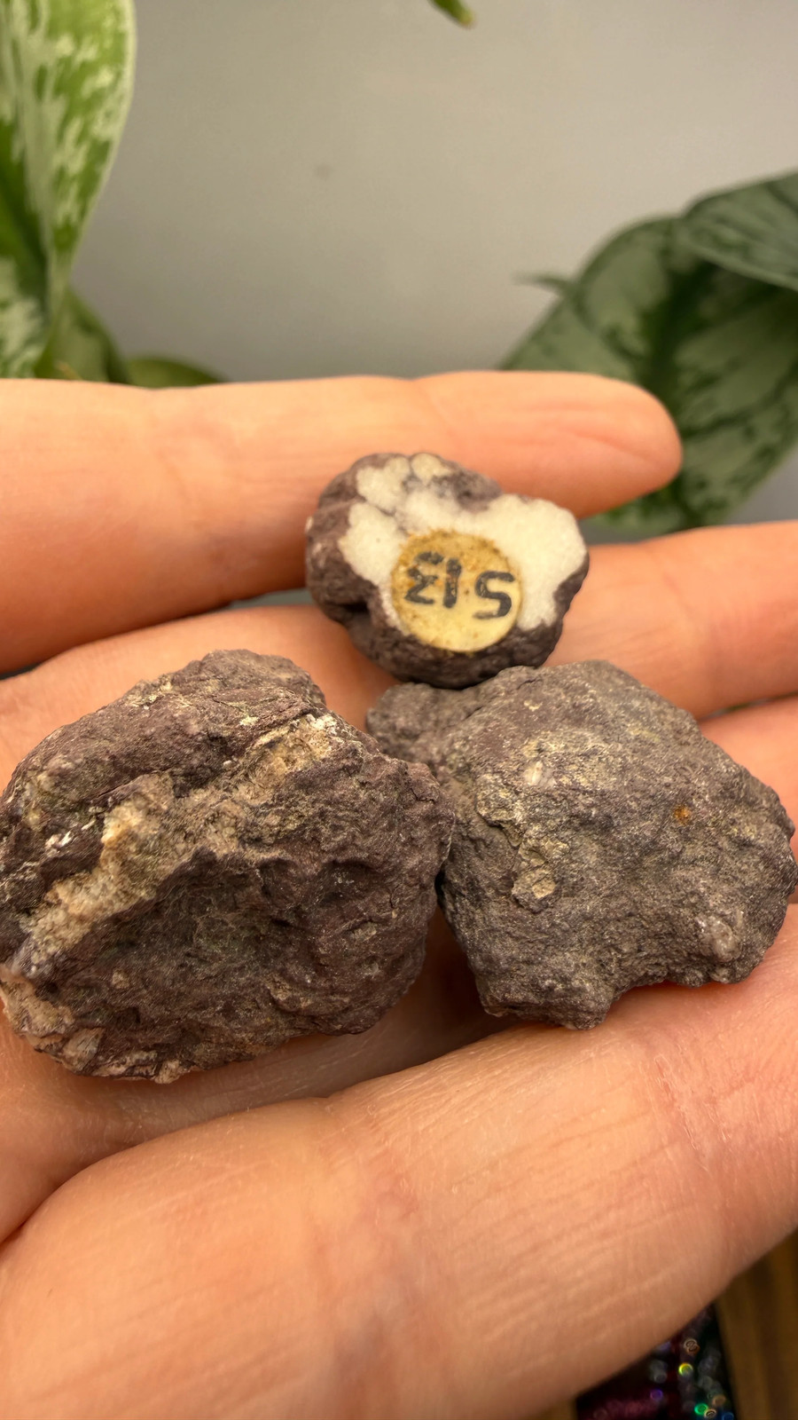 Datolite Nodules- Delaware Mine, Keweenaw County, Michigan