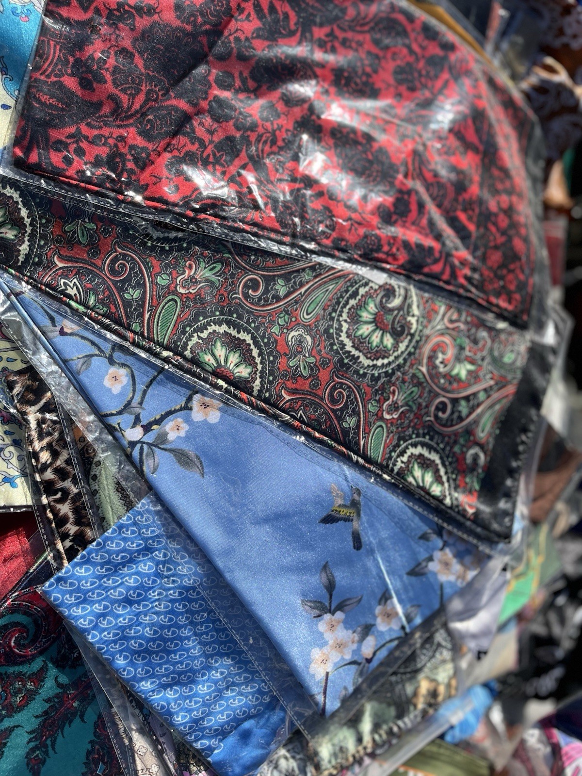 WILD RAGS       my Choice 4 / $ 20           THESE ARE NEW        