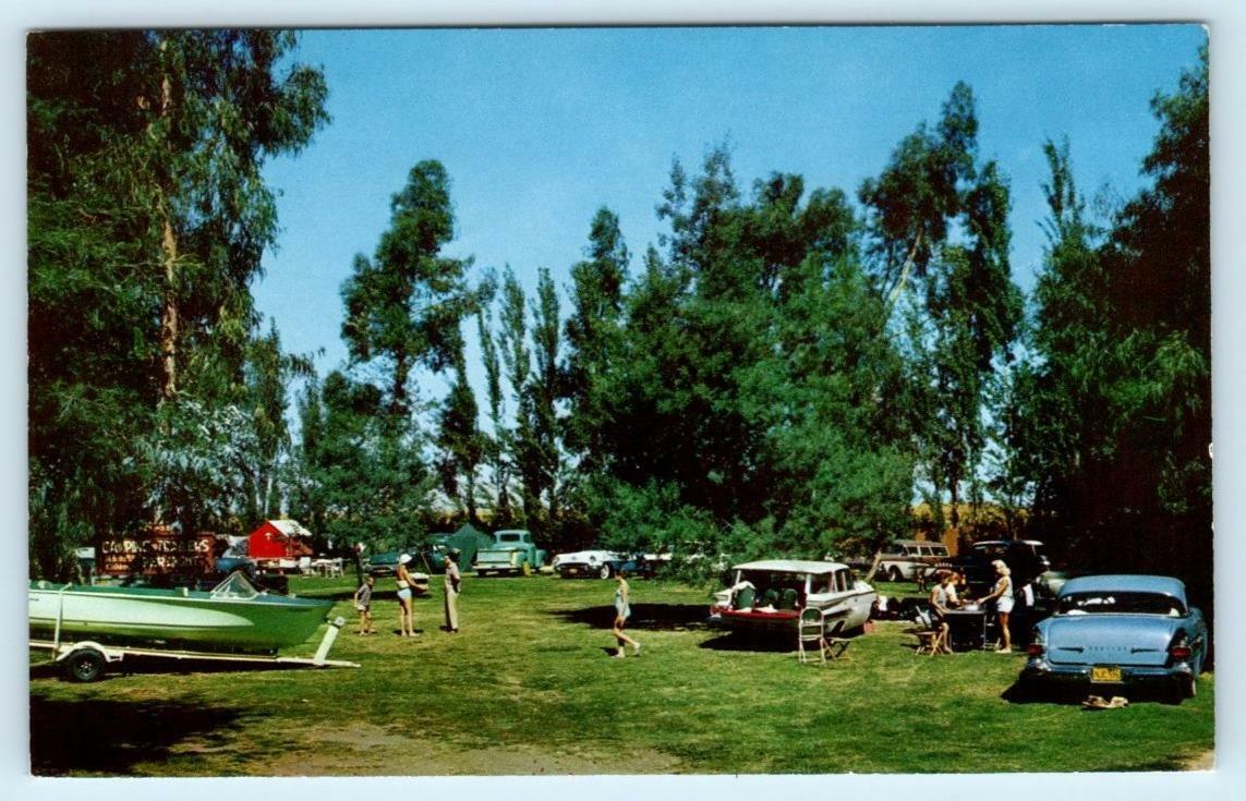 ISLETON, California CA ~ Campground KORTH'S PIRATES LAIR Marina 1960s Postcard