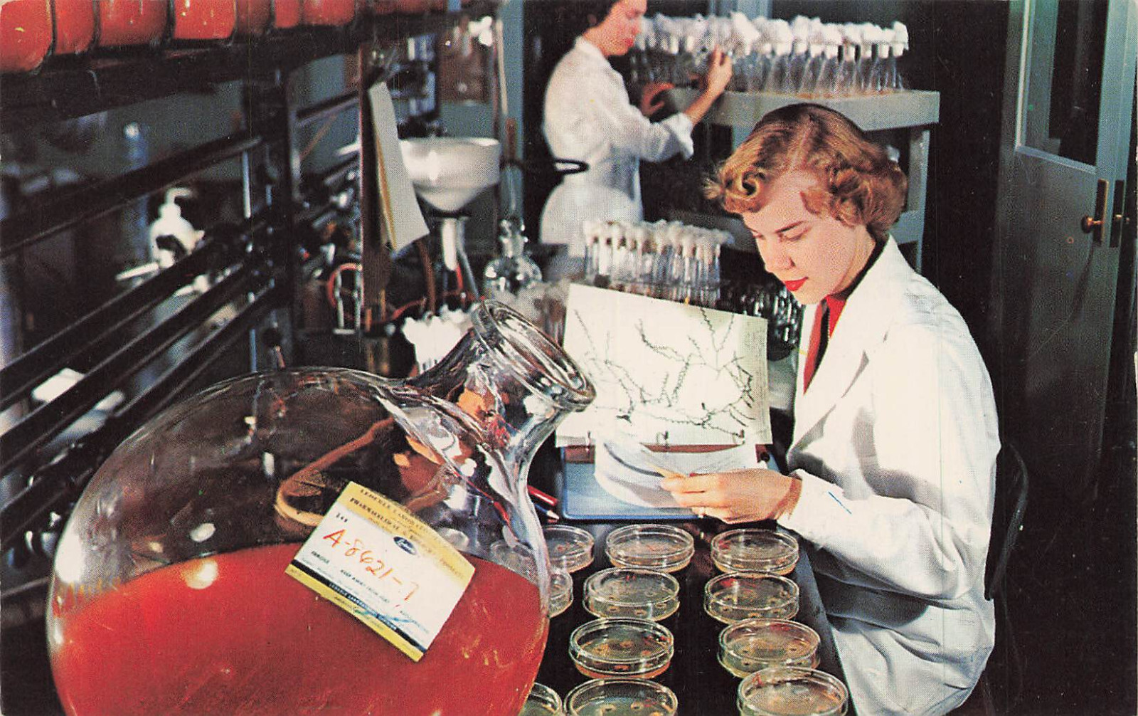Postcard Lederle Laboratories Division Pearl River New York Achromycin