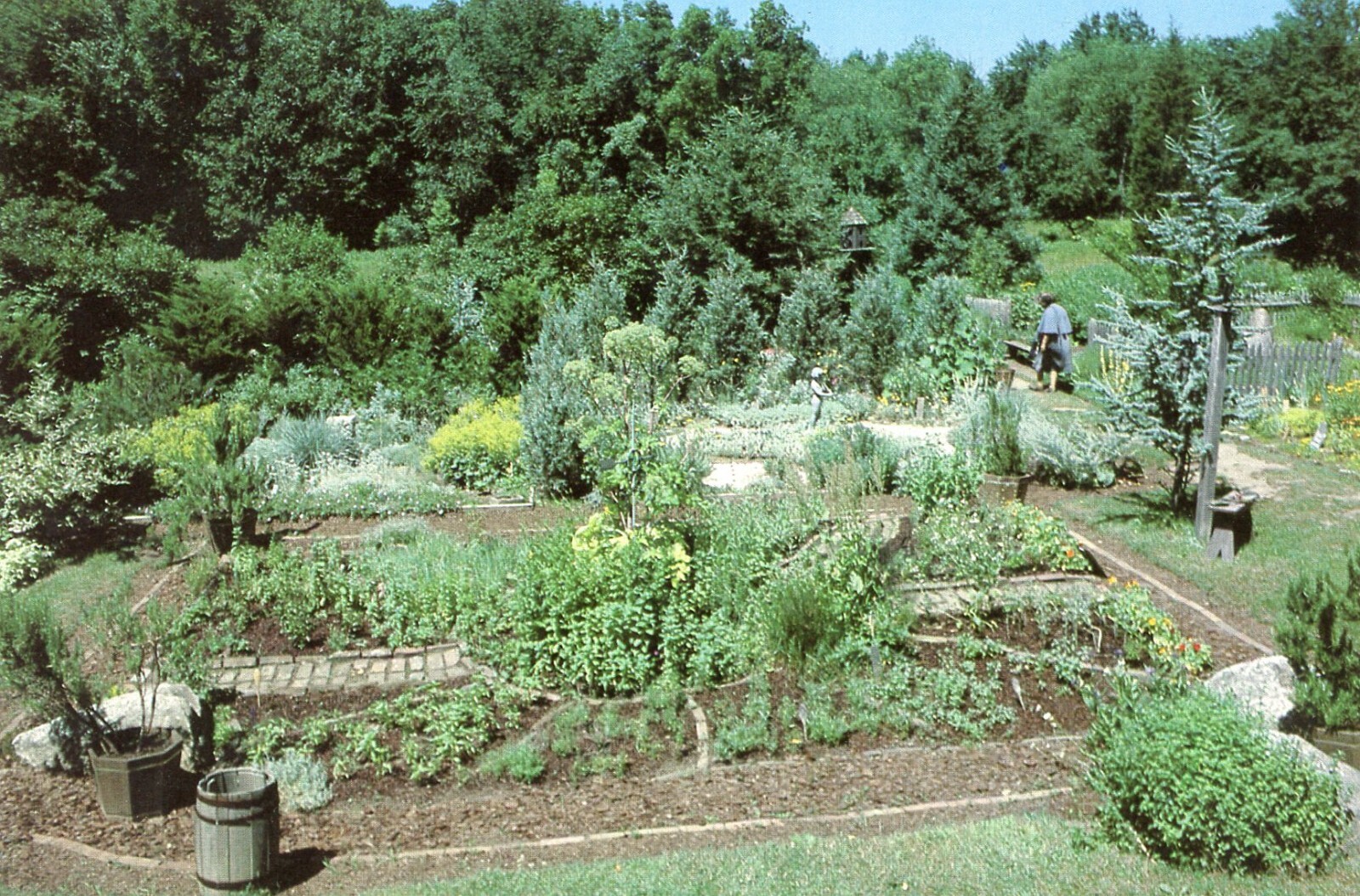 Garden View, Caprilands, Silver Street, Coventry, Connecticut, 1979 --POSTCARD Garden View, Caprilands, Silver Street, Coventry, Connecticut, 1979 --POSTCARD