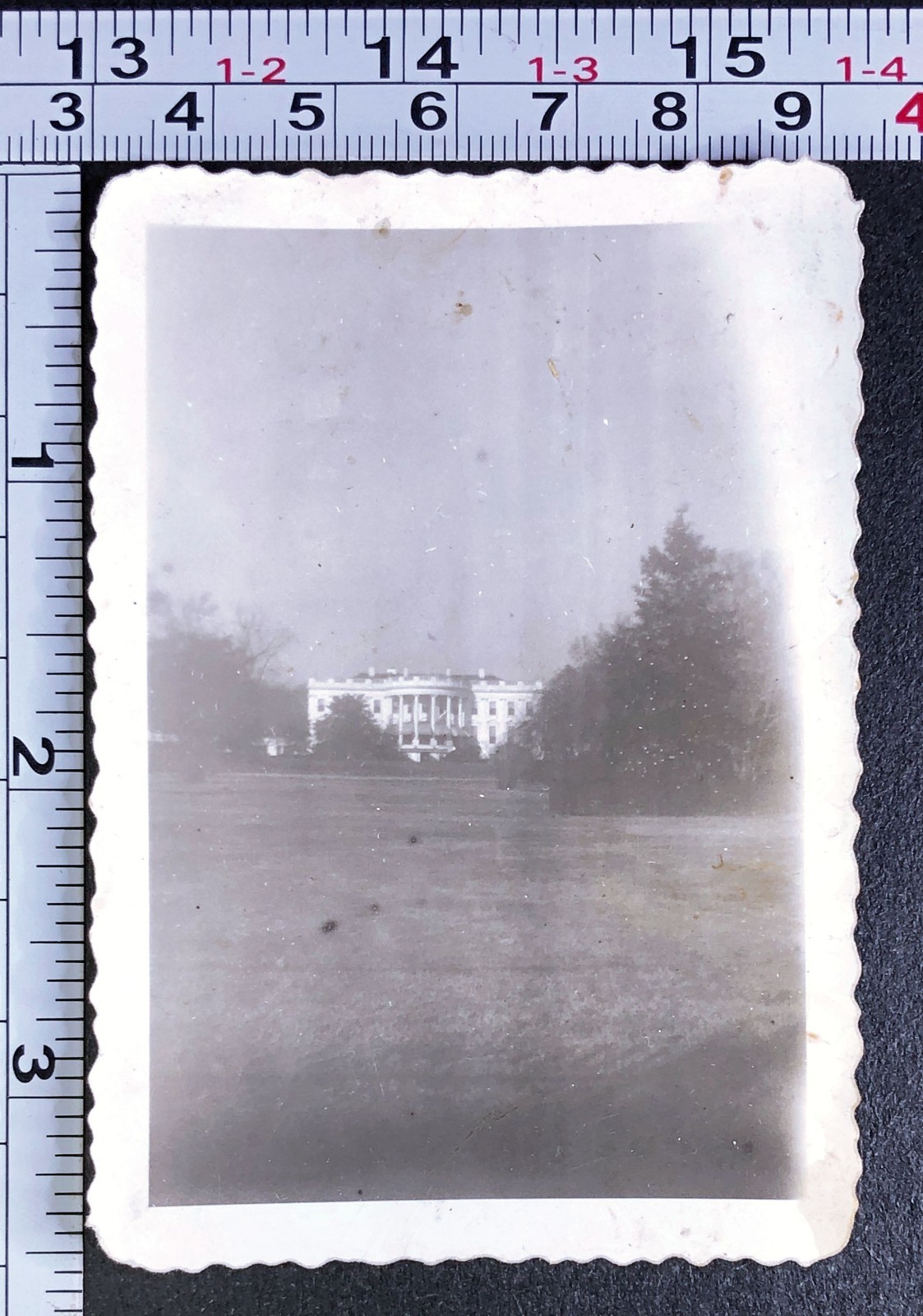 Distant View White House Washington DC Architecture BW Photo Snapshot