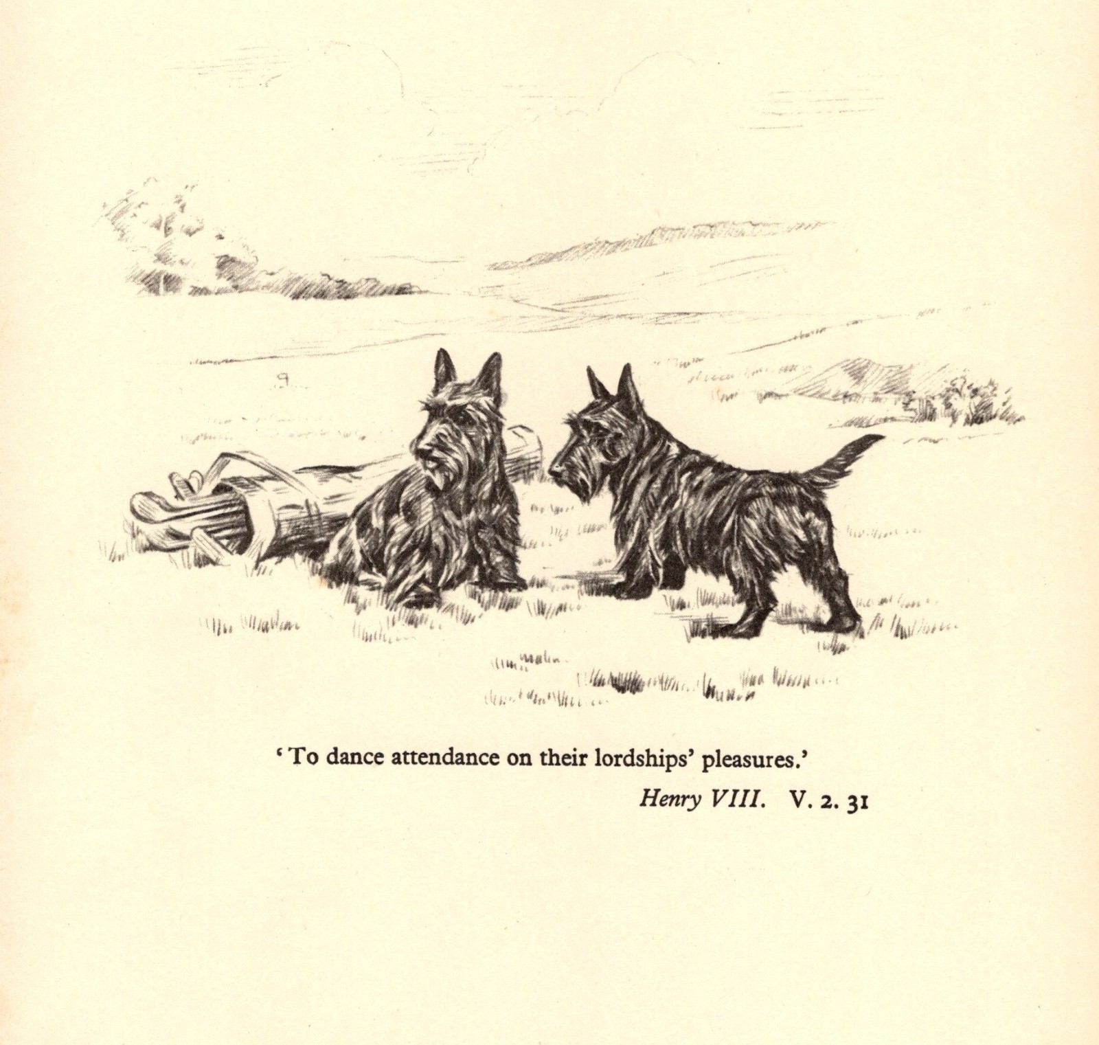 Vintage Scottish Terrier Print Shakespeare Henry VIII Quote Print 6971k