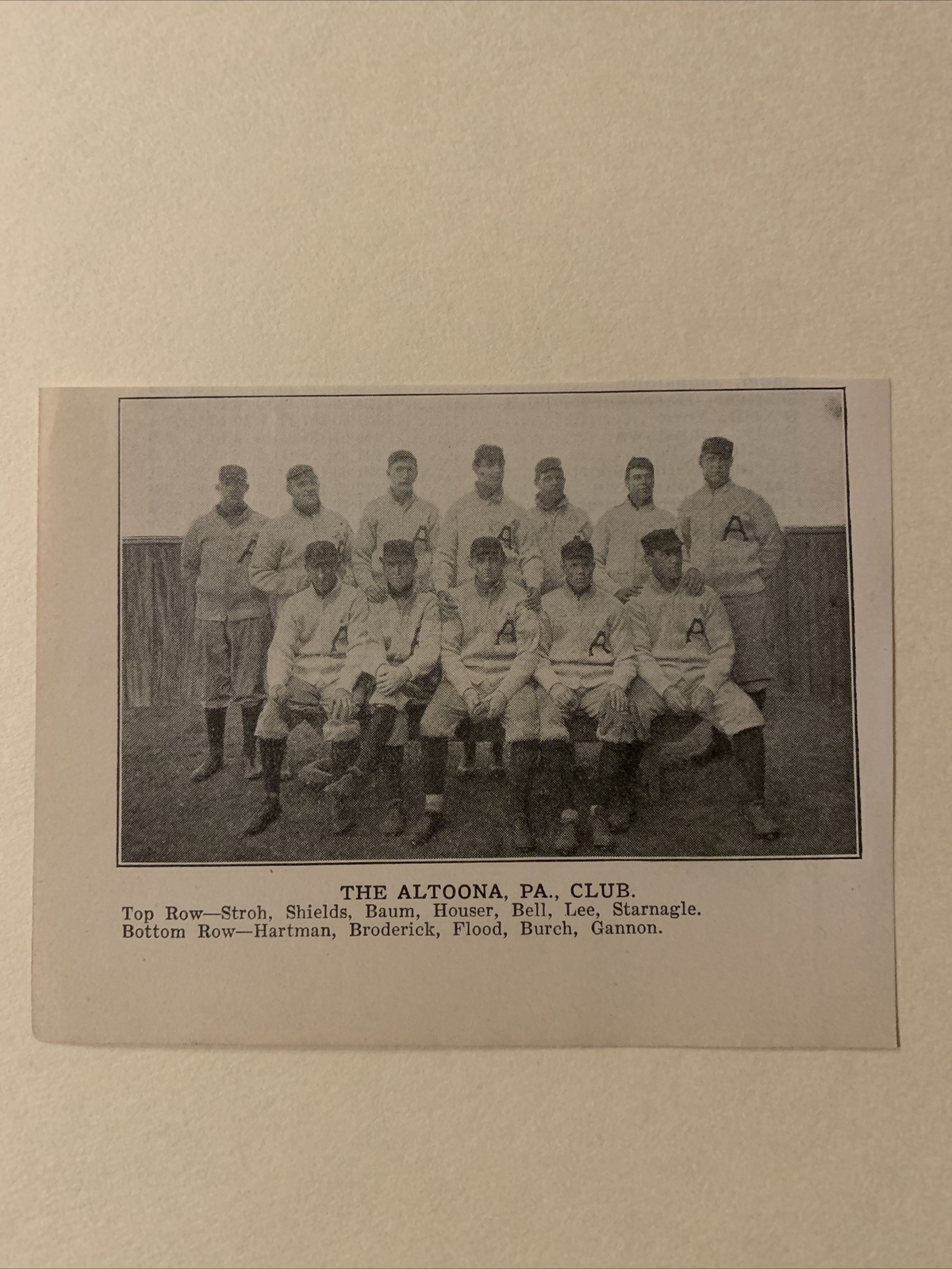 Altoona Mountaineers Ben Houser Watty Lee Starnagle 1906 Baseball Team Picture