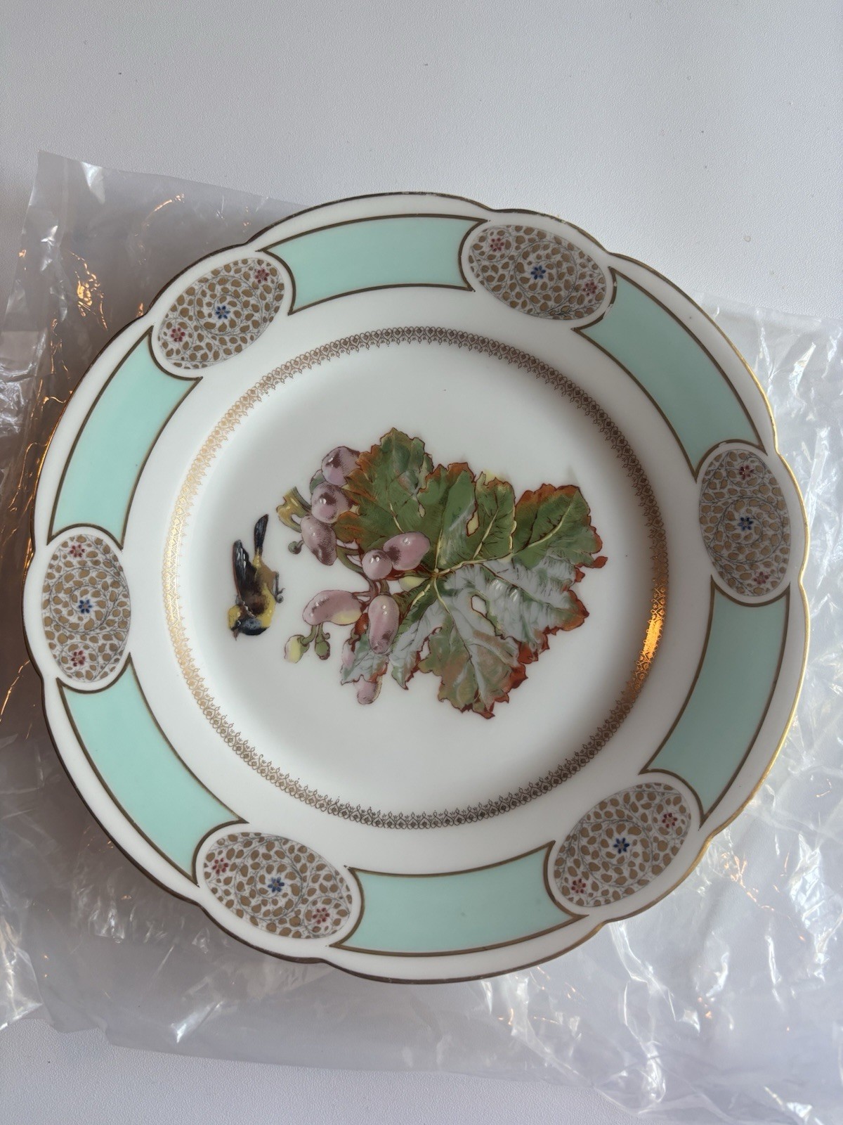 11 Haviland Limoges Porcelain Plates