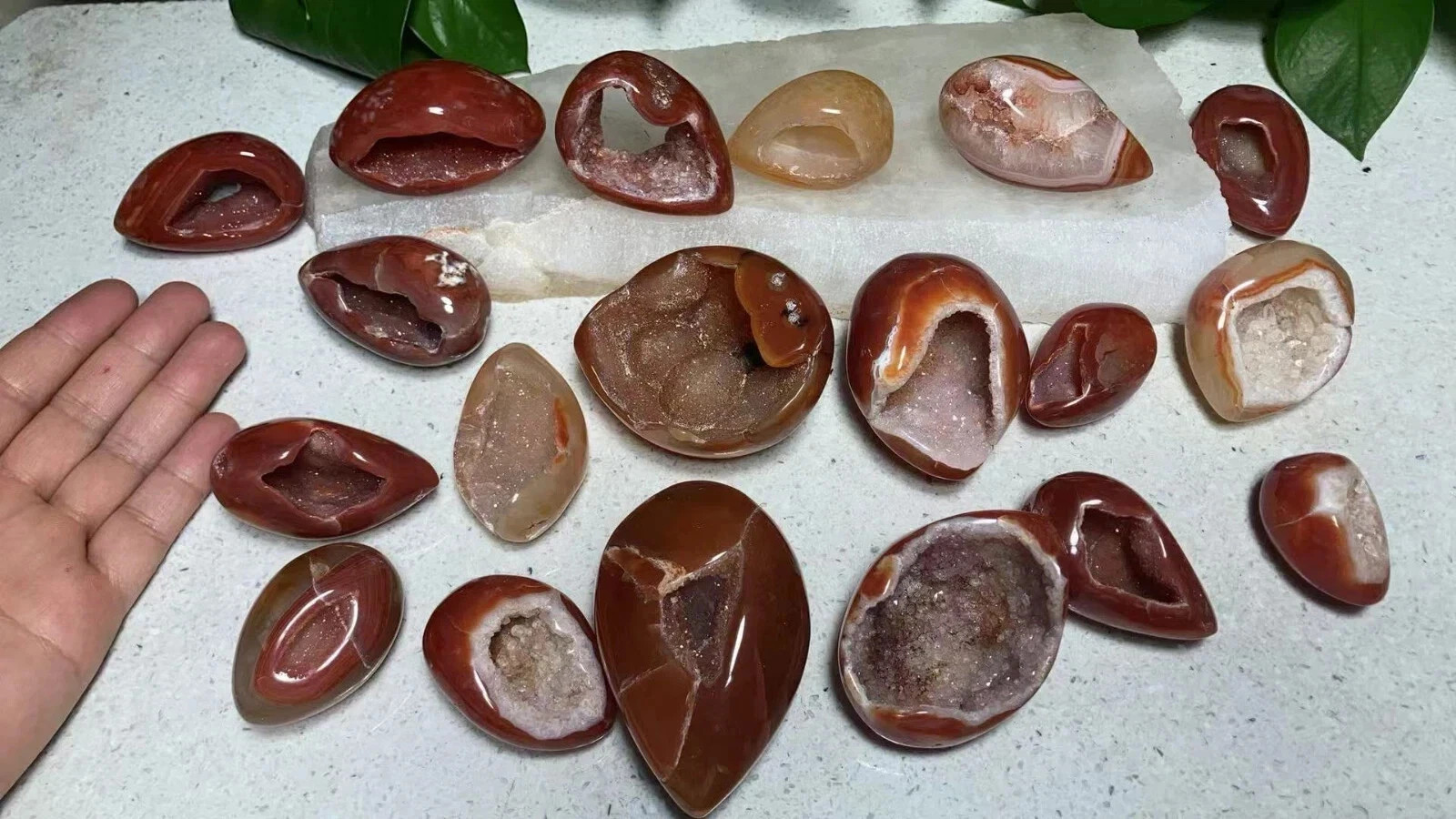 wholesales 19pcs 1730g 5~8cm Natural carnelian carved - druzzy geode
