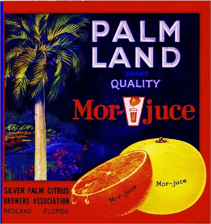 f39 Redland Florida Palm Land Orange Citrus Fruit Crate Label Fridge Magnet