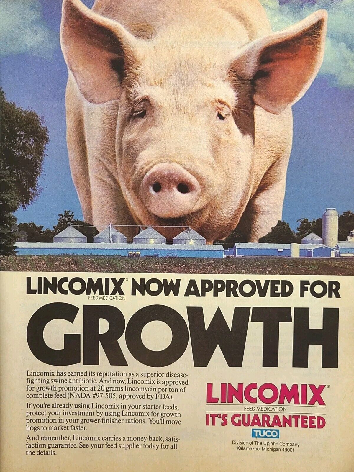 Tuco Lincomix Kalamazoo MI Swine Antibiotic Feed Giant Hog Vintage Print Ad 1987