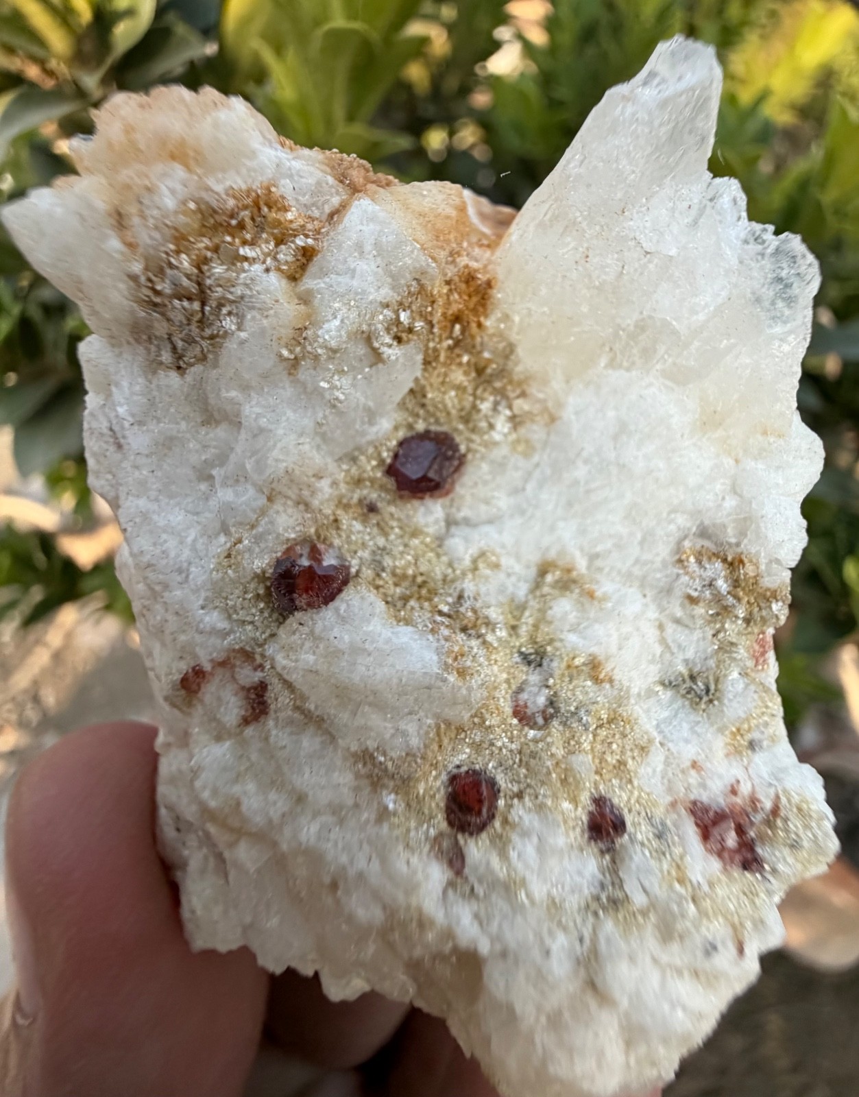 79 gram Natural Garnet combine Quartz crystal specimen Gemstone