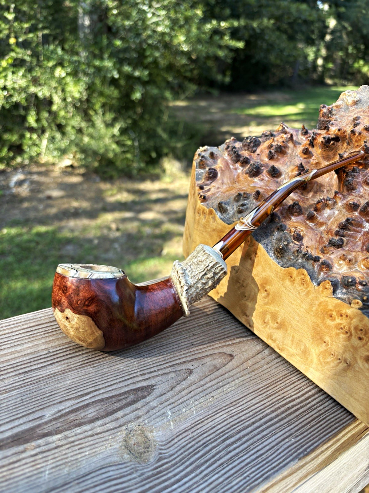 Half bent Amboyna burl Apple pipe with olive chamber insert. Gold acrylic stem