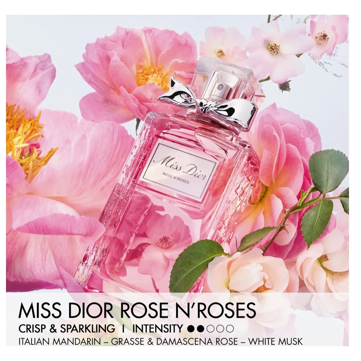 Dior Miss Dior Rose N' Roses with Silver Bow 150ml - Never sprayed