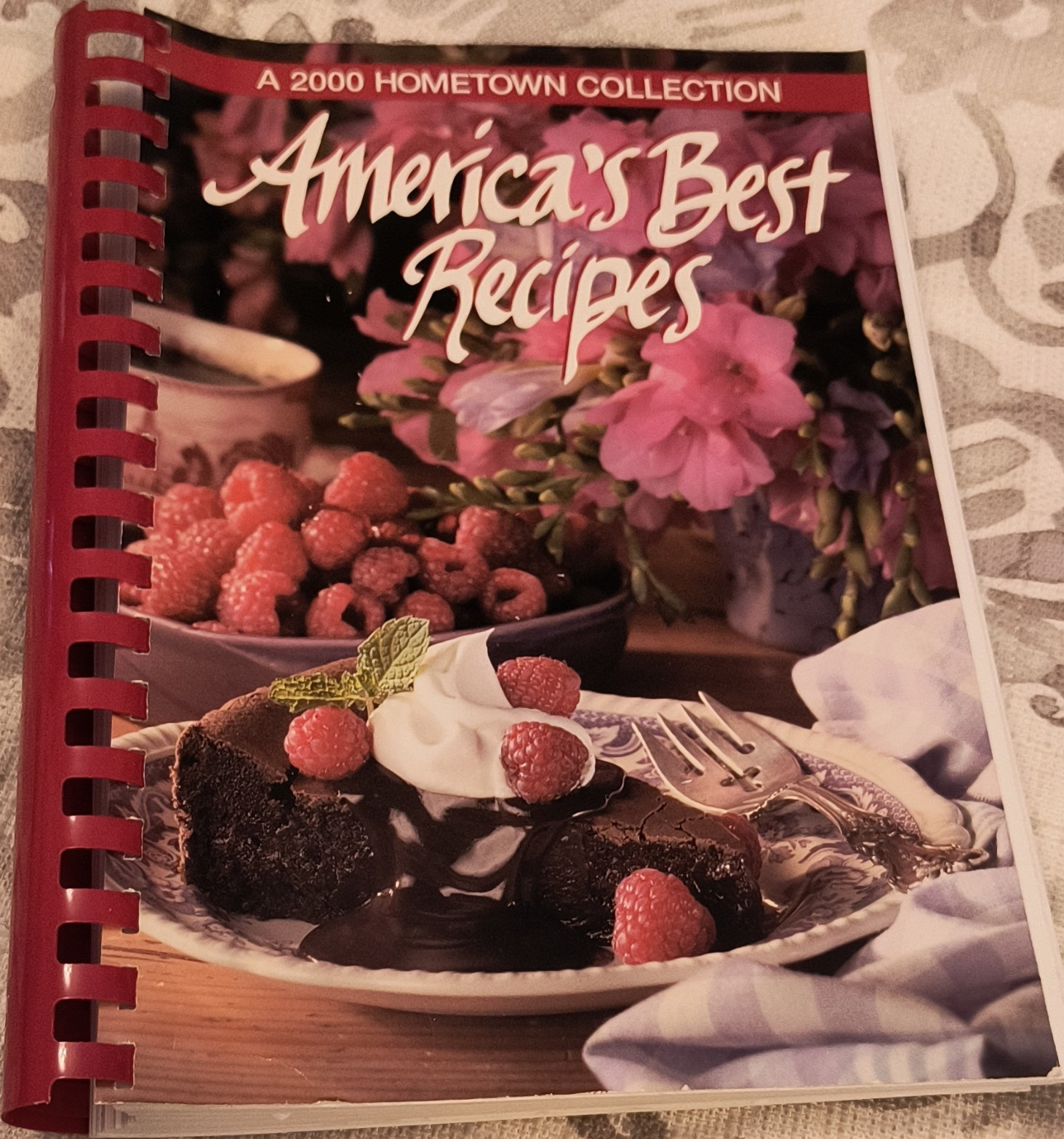 Hometown Collection America’s Best Recipes Spiral Bound Cookbook 2000
