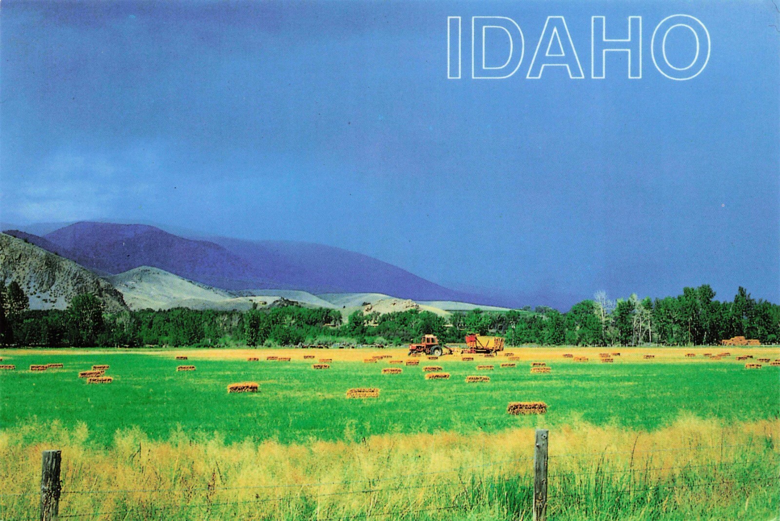 Idaho Farmlands Scenic View Vintage Continental Postcard Unposted