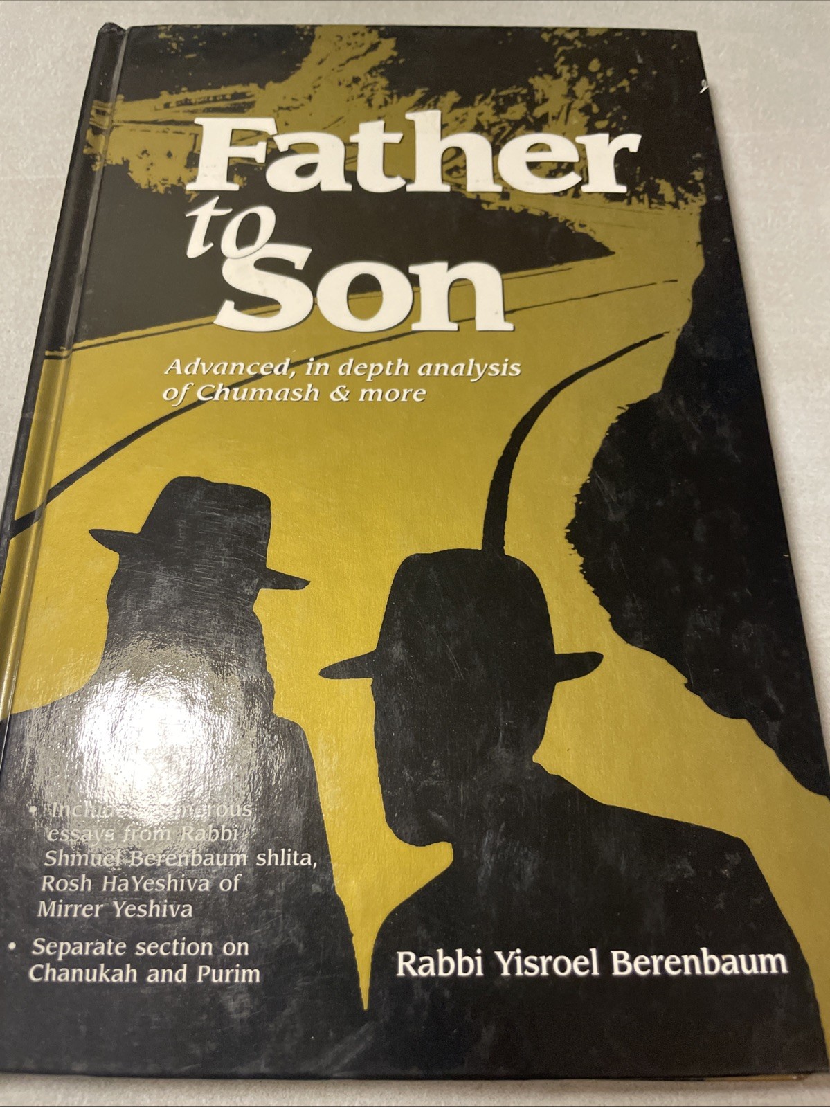New Father To Son By R. Yosroel Berenbaum. H/c. Jewish Book/ Sefer