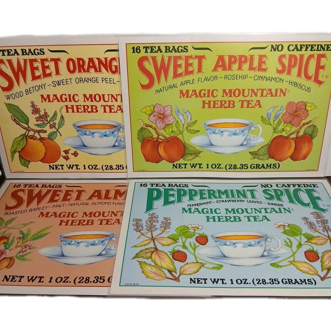 Vintage ~MAGIC MOUNTAIN Herb Tea Placemat Set Of 4 Plastic Bright Graphics 1981