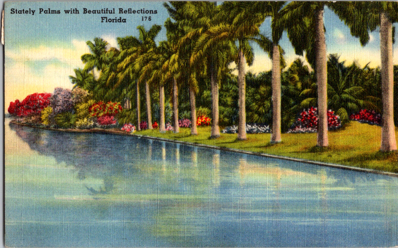 Vintage 1940s Stately Palms Reflecting in Mirror Like Waters Florida FL Postcard